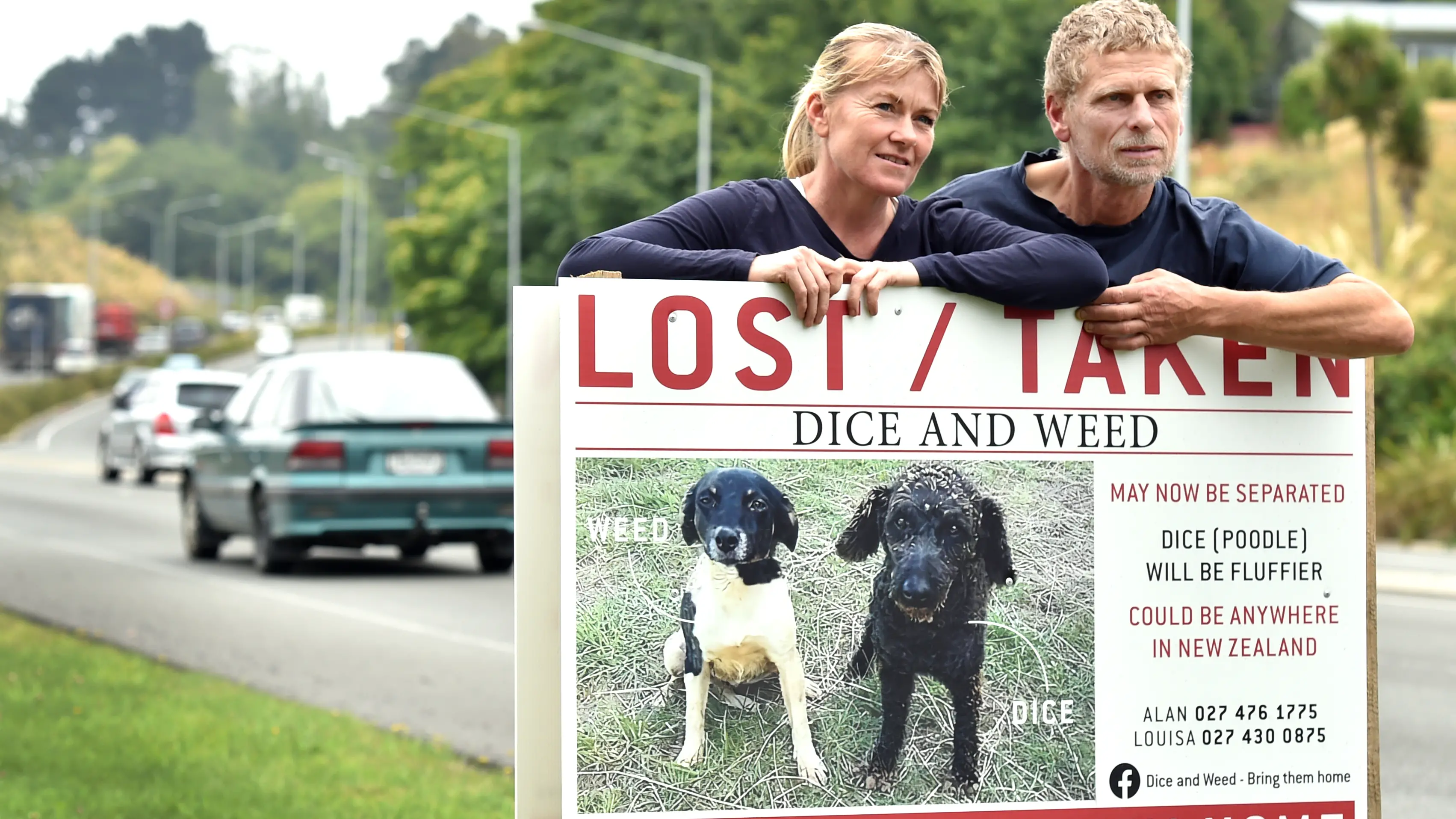 Hoaxer makes couple more determined to find missing dogs