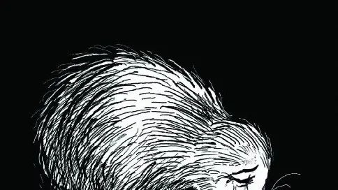 Cartoonists scooped up by fame whirlwind