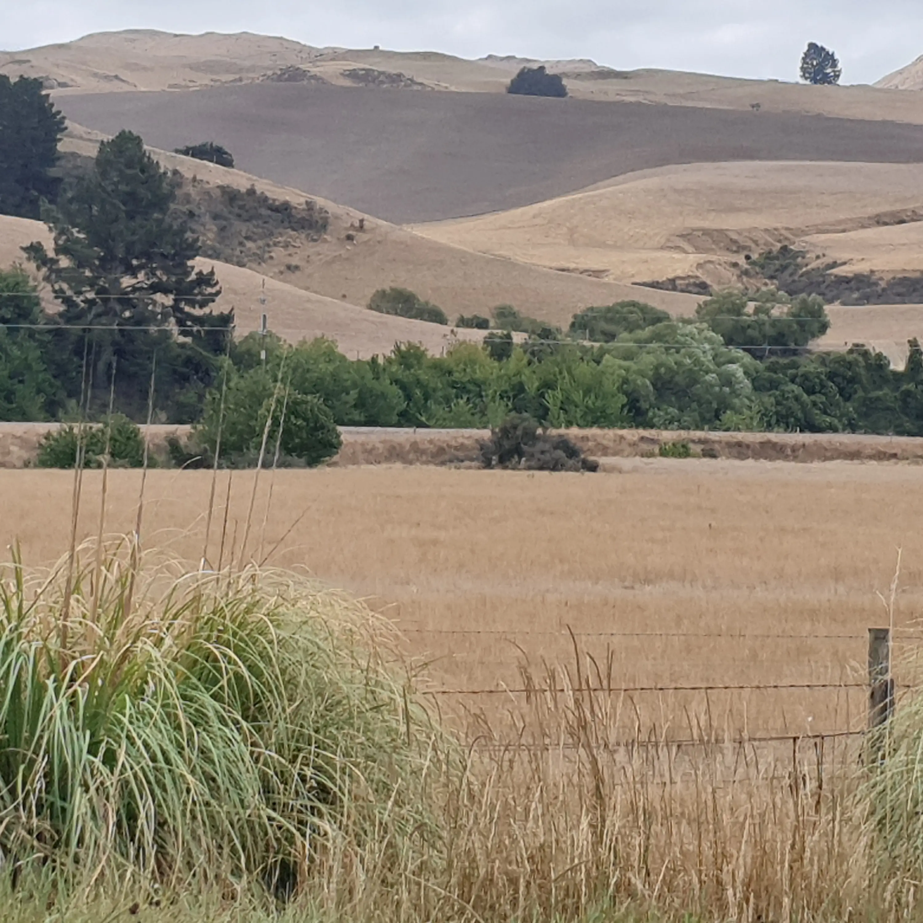 NZ to get hotter faster than predicted: Niwa