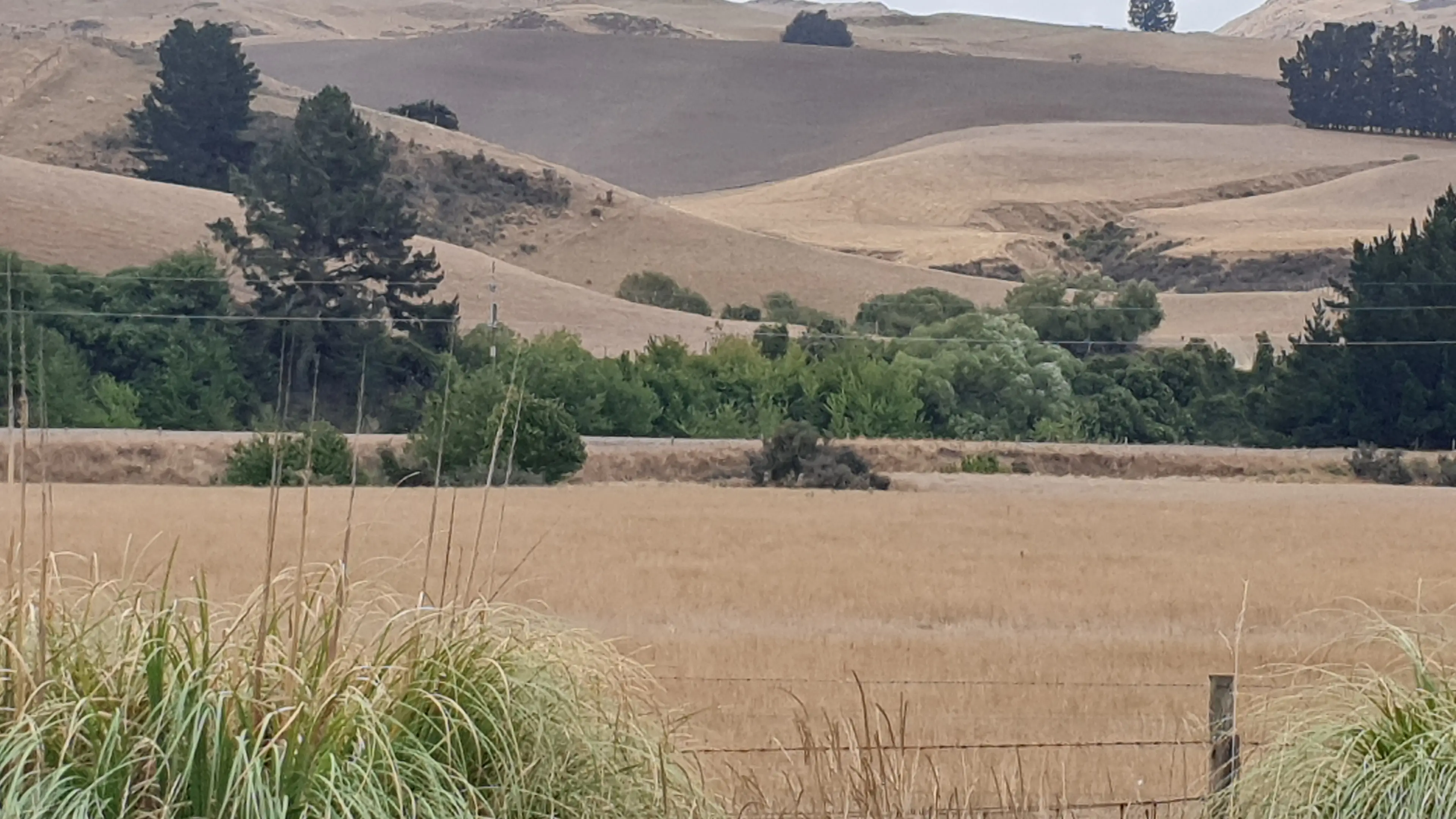 NZ to get hotter faster than predicted: Niwa