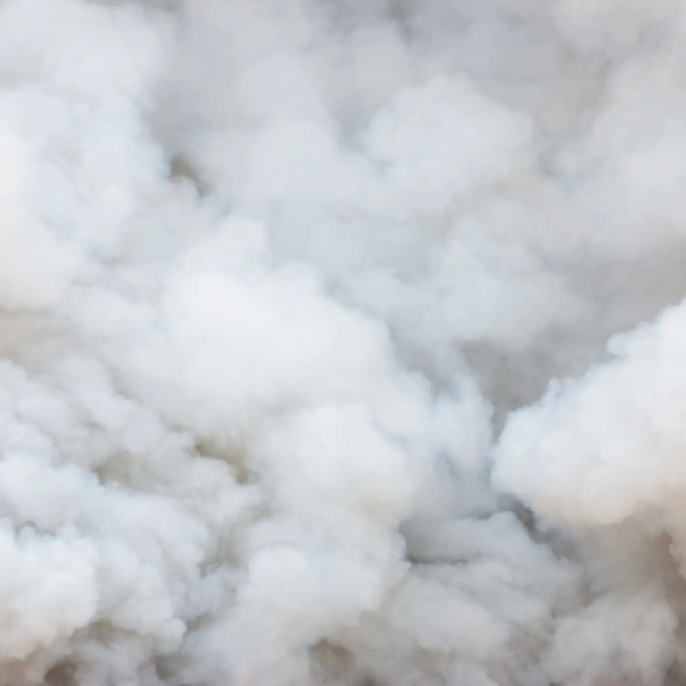 Fire service called after smoke spotted at park