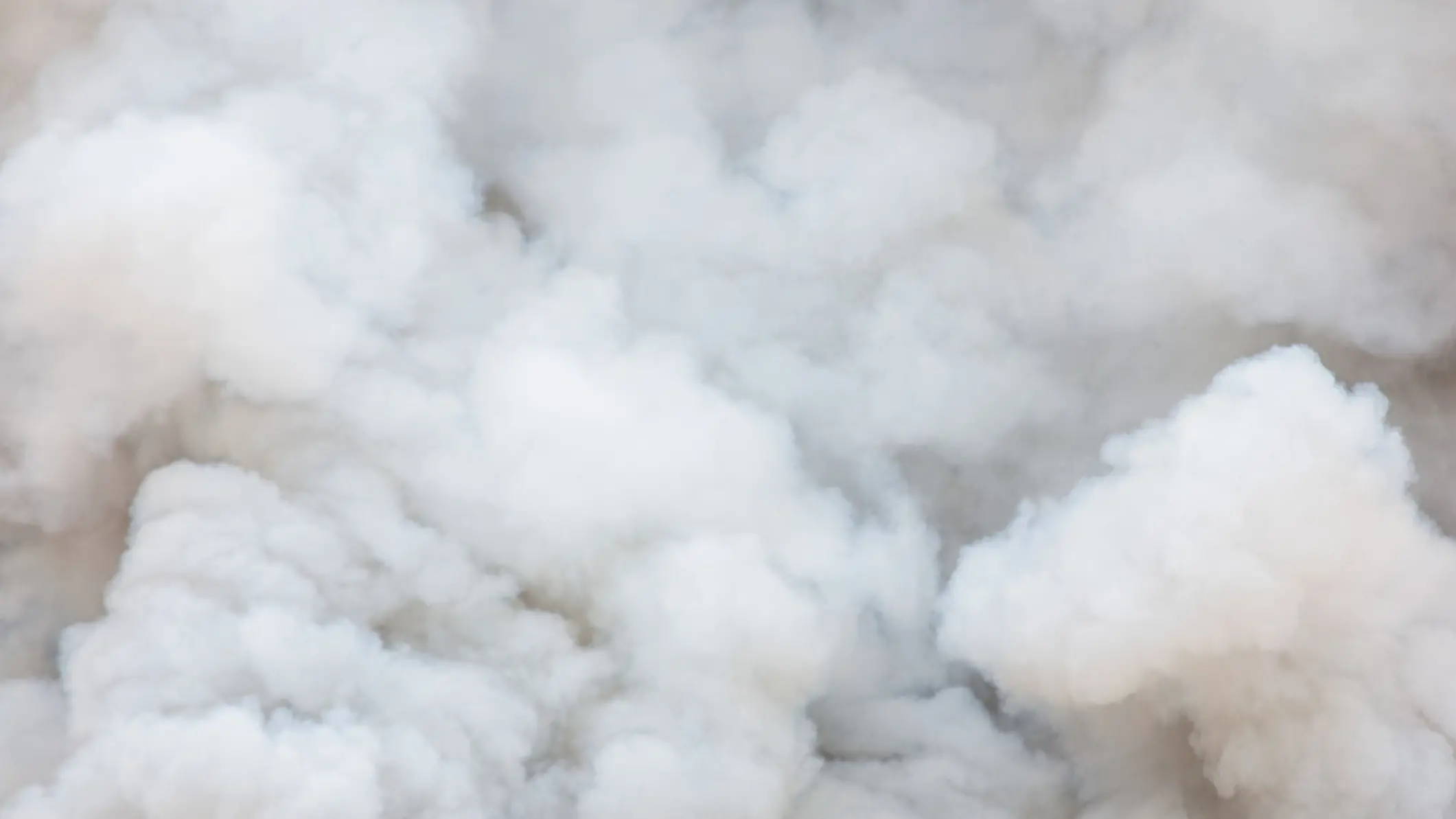 Fire service called after smoke spotted at park