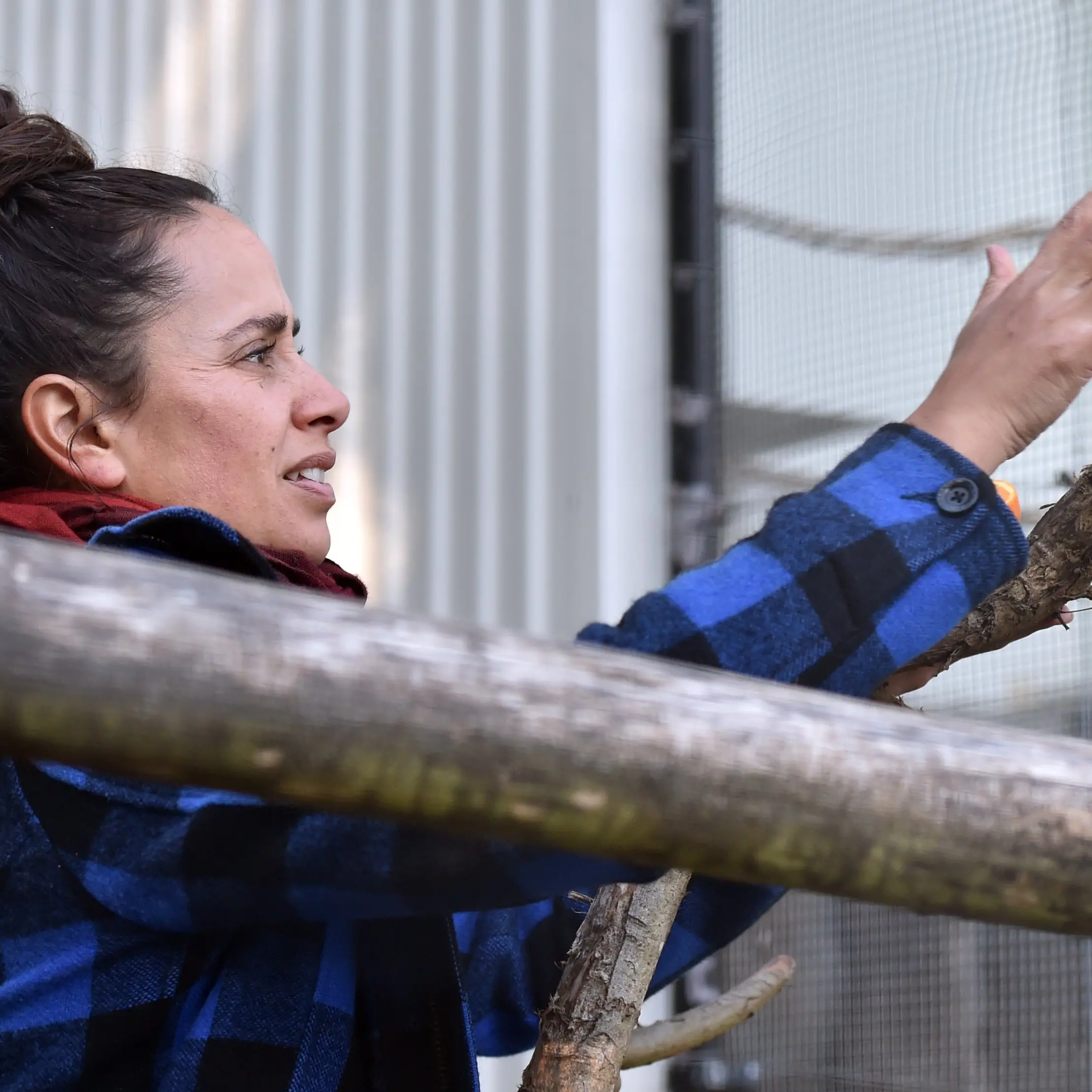 Essential workers ensure captive birds do not go hungry
