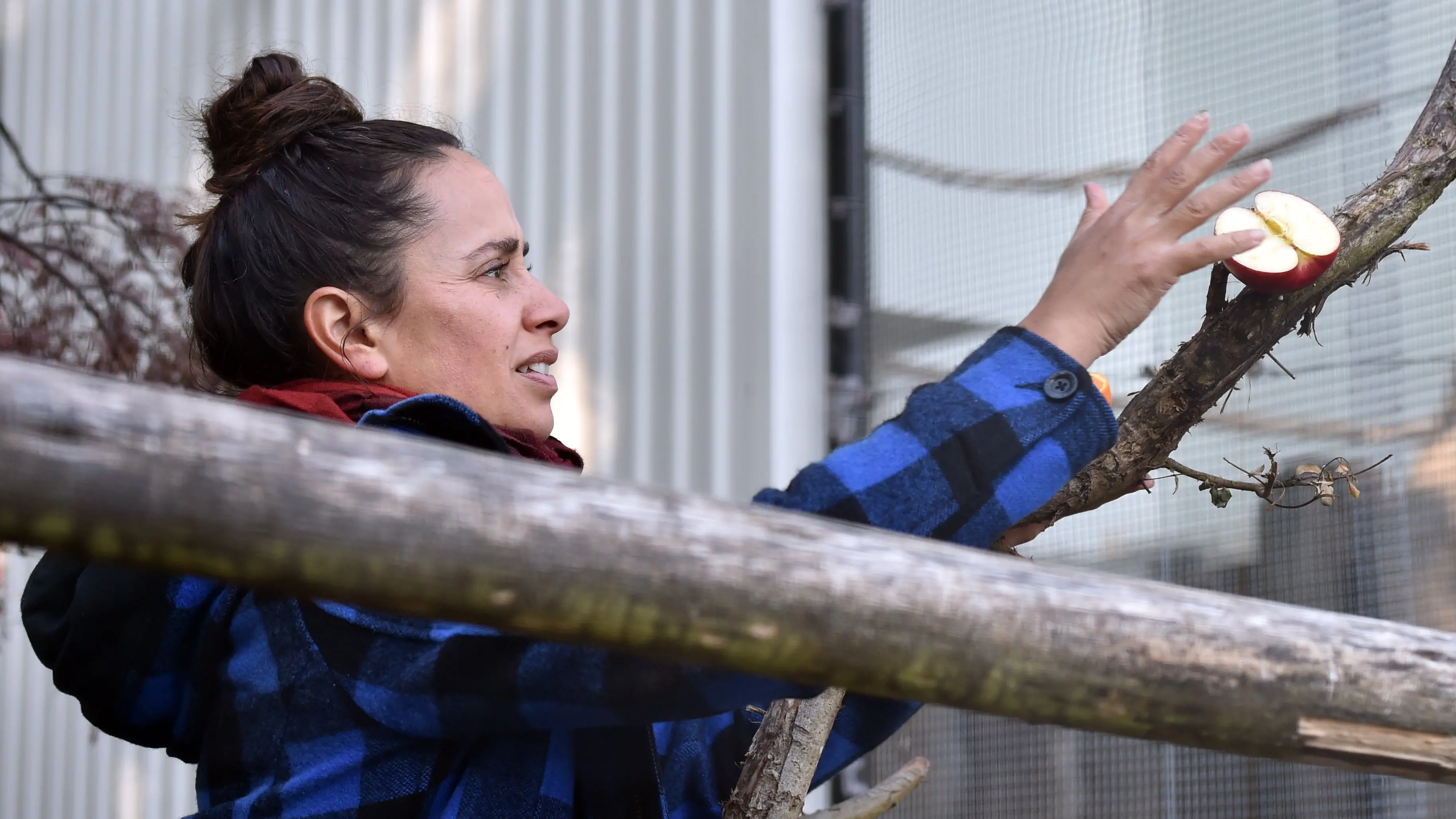 Essential workers ensure captive birds do not go hungry
