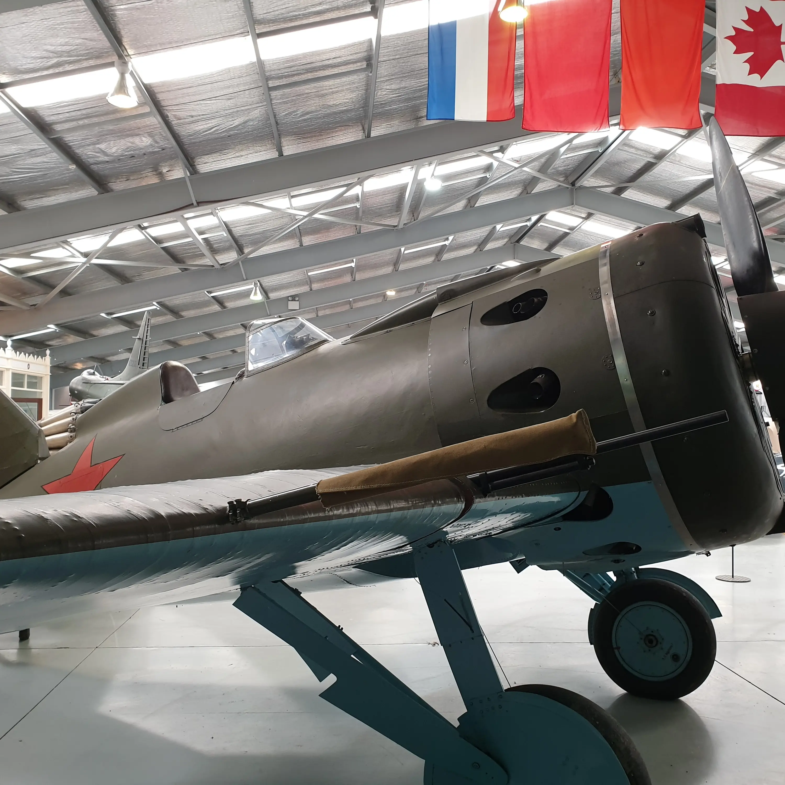 Warbirds board looking ahead to next show