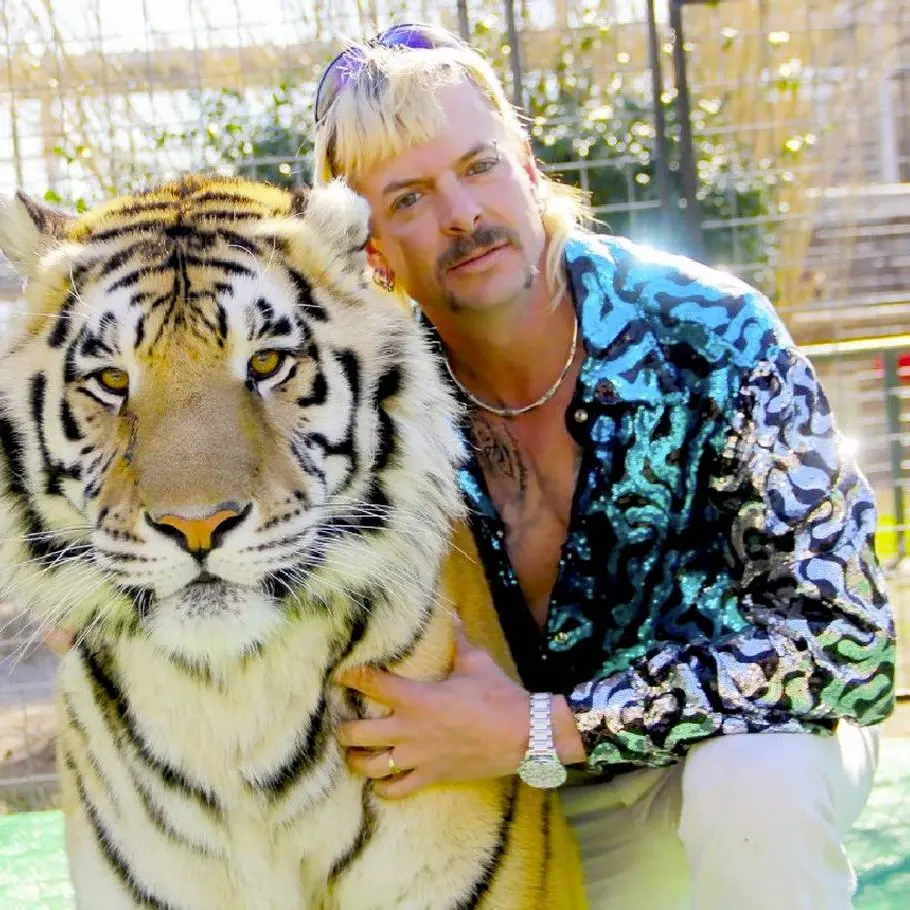 Quality bogan absurdity