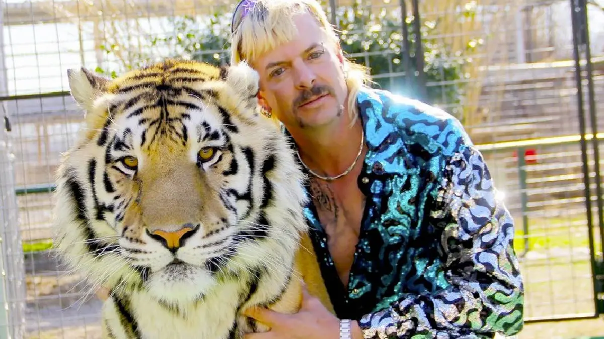 Quality bogan absurdity
