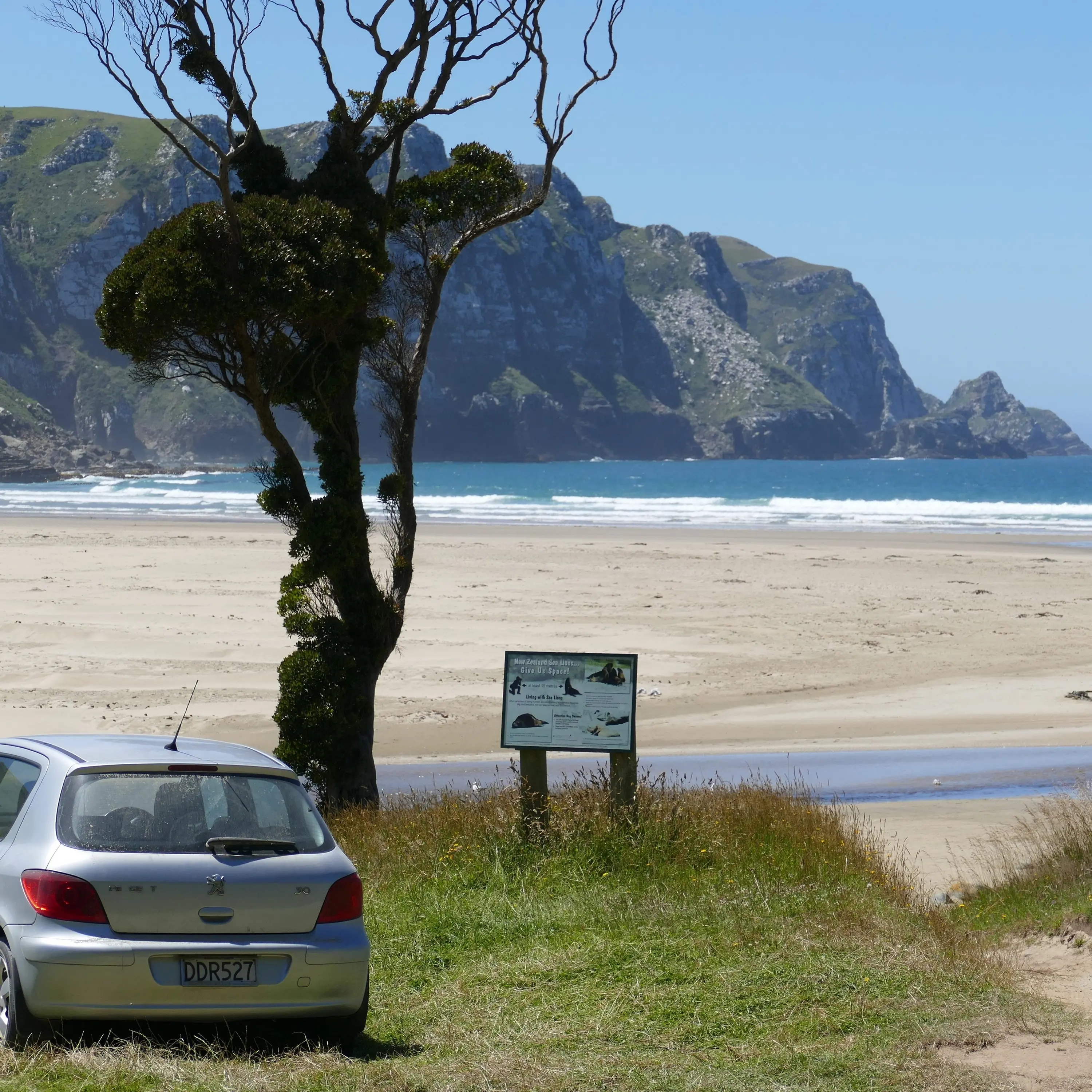 Fewer vehicles on beaches under bylaw