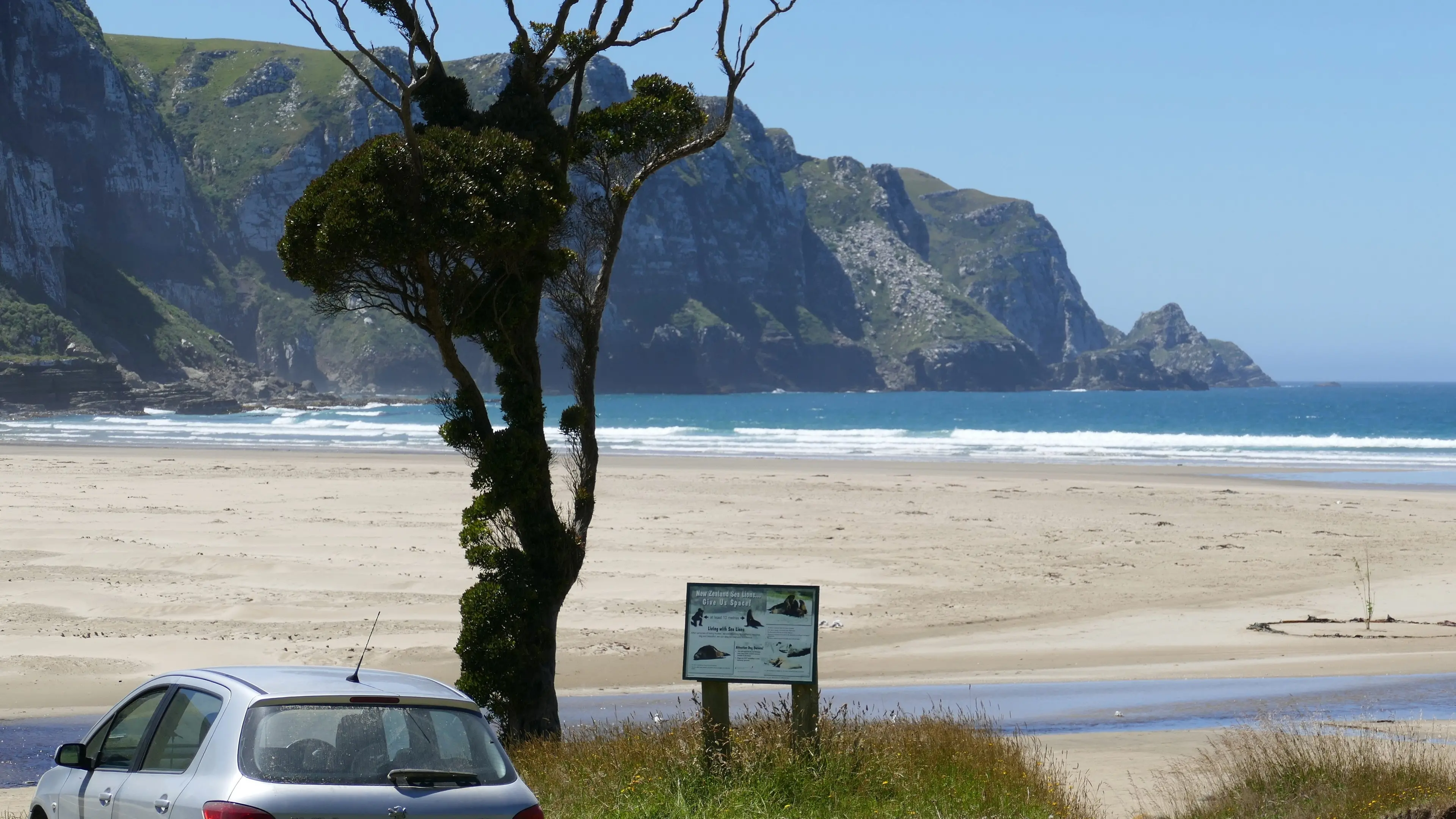 Fewer vehicles on beaches under bylaw