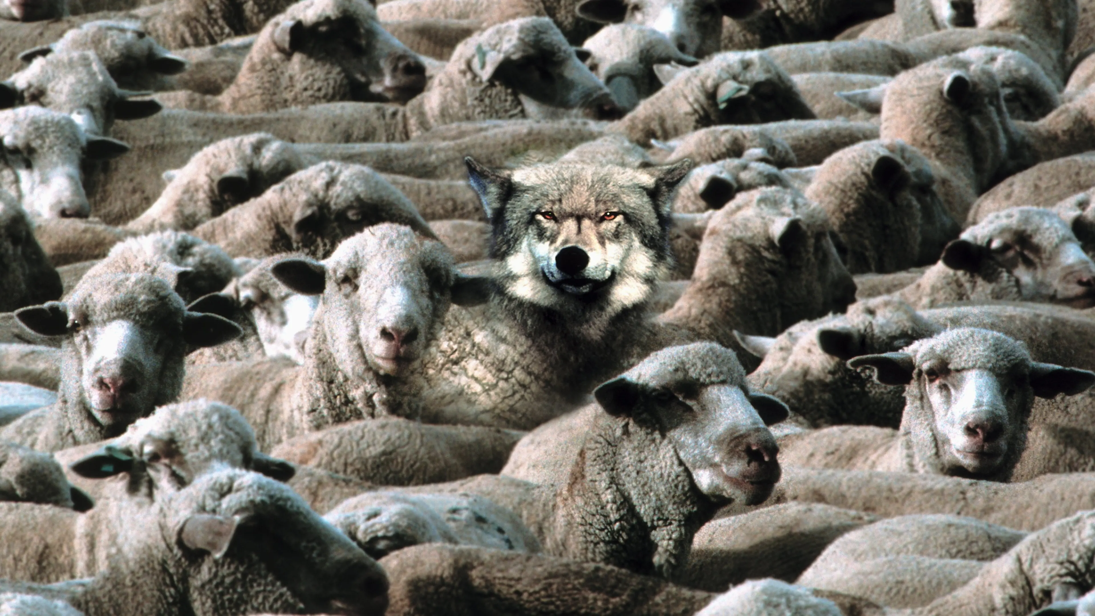 Conspiracy therapy: the end ... or is it?