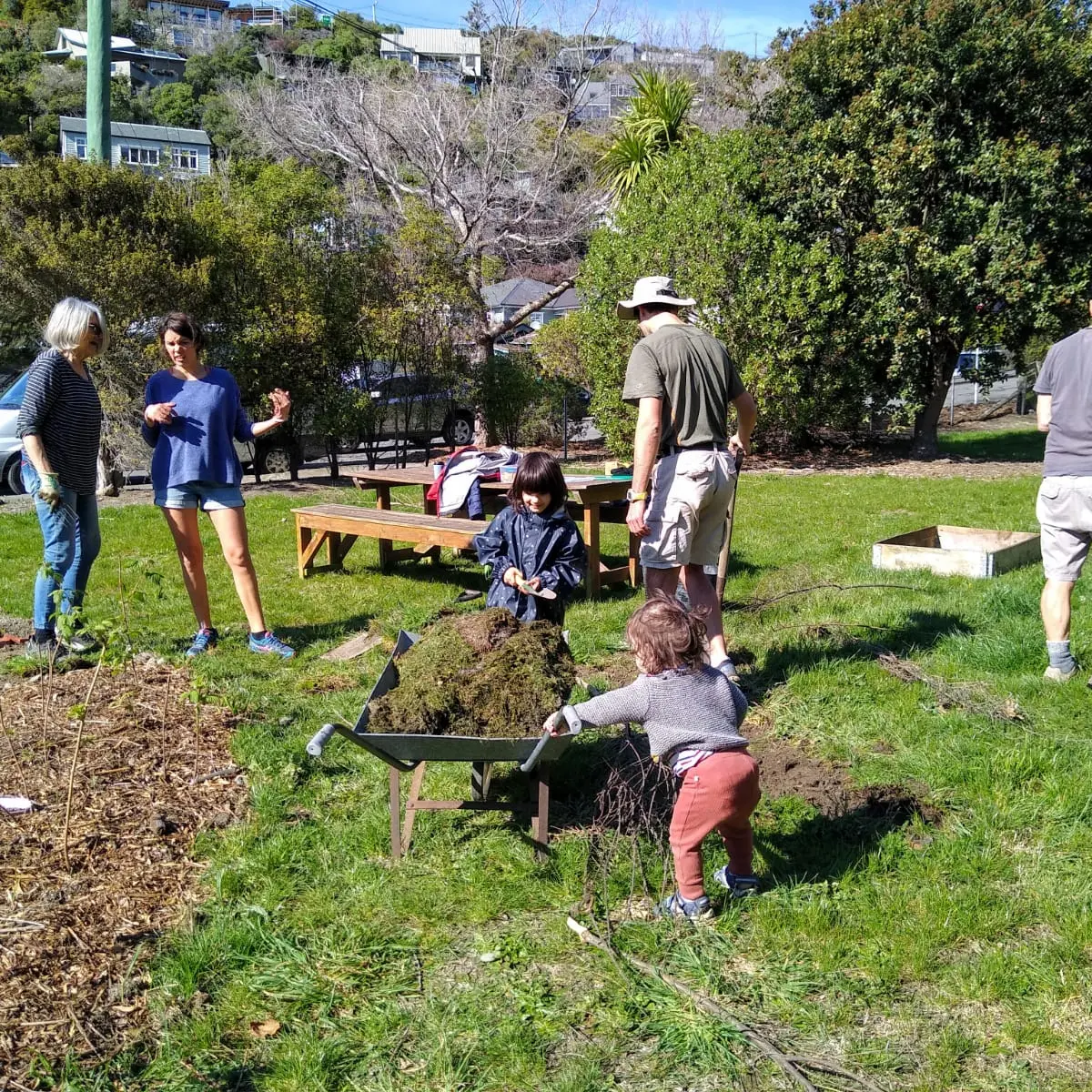 'Special community effort': Turning the red zone into a berry garden