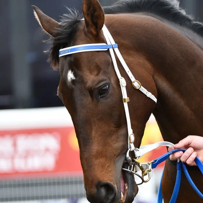 Incentivise hot favourite to take Melbourne Cup