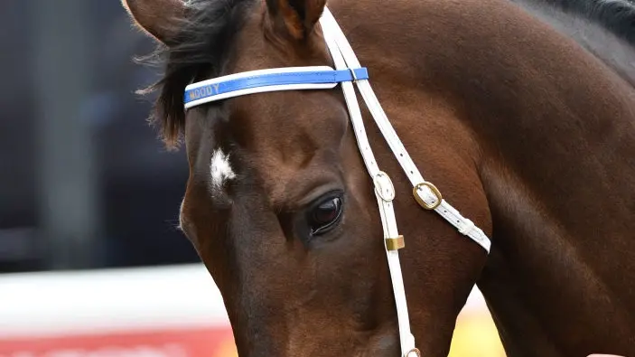 Incentivise hot favourite to take Melbourne Cup