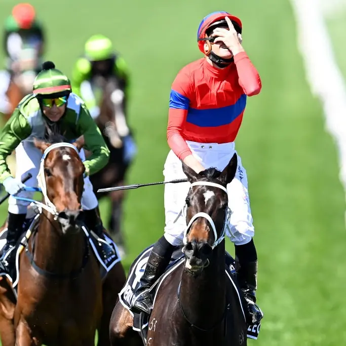 Verry Elleegant victory at Melbourne Cup