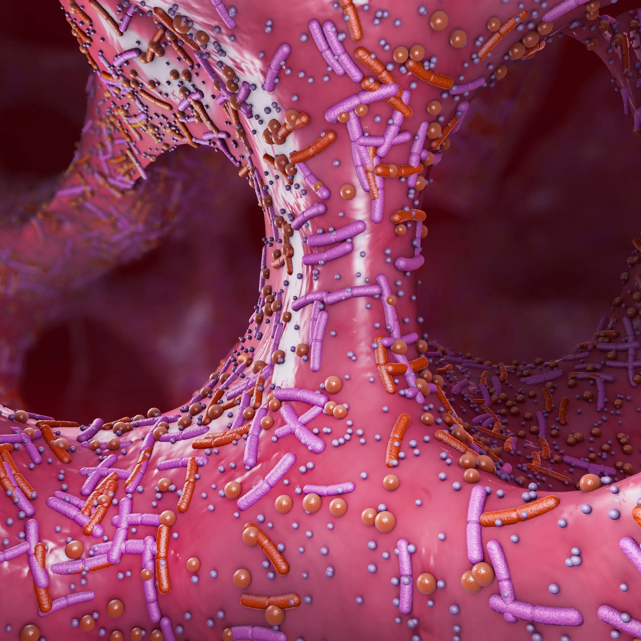Much still to learn about gut microbes