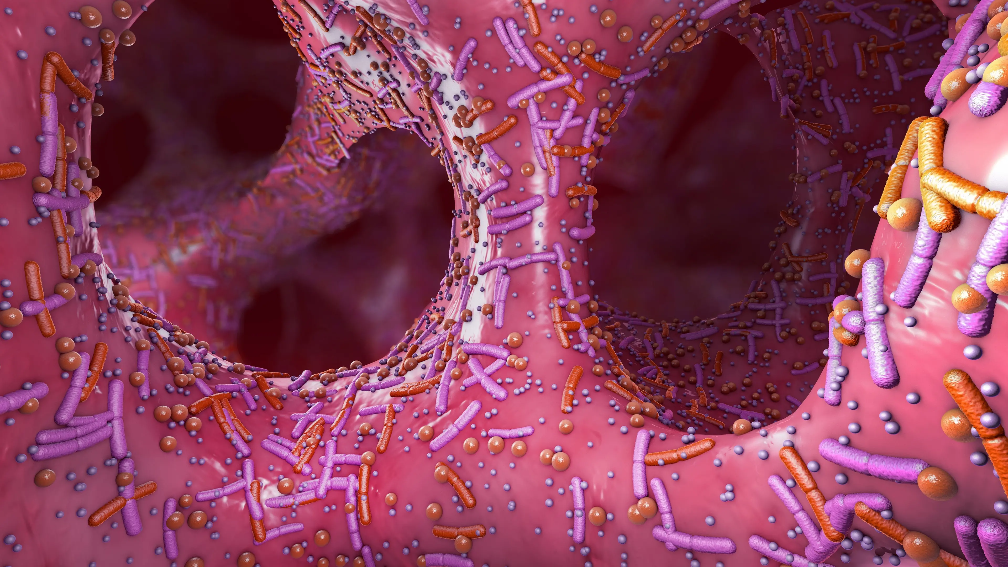 Much still to learn about gut microbes