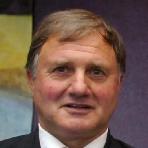 Councillor wants role elucidated