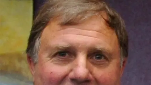 Councillor wants role elucidated
