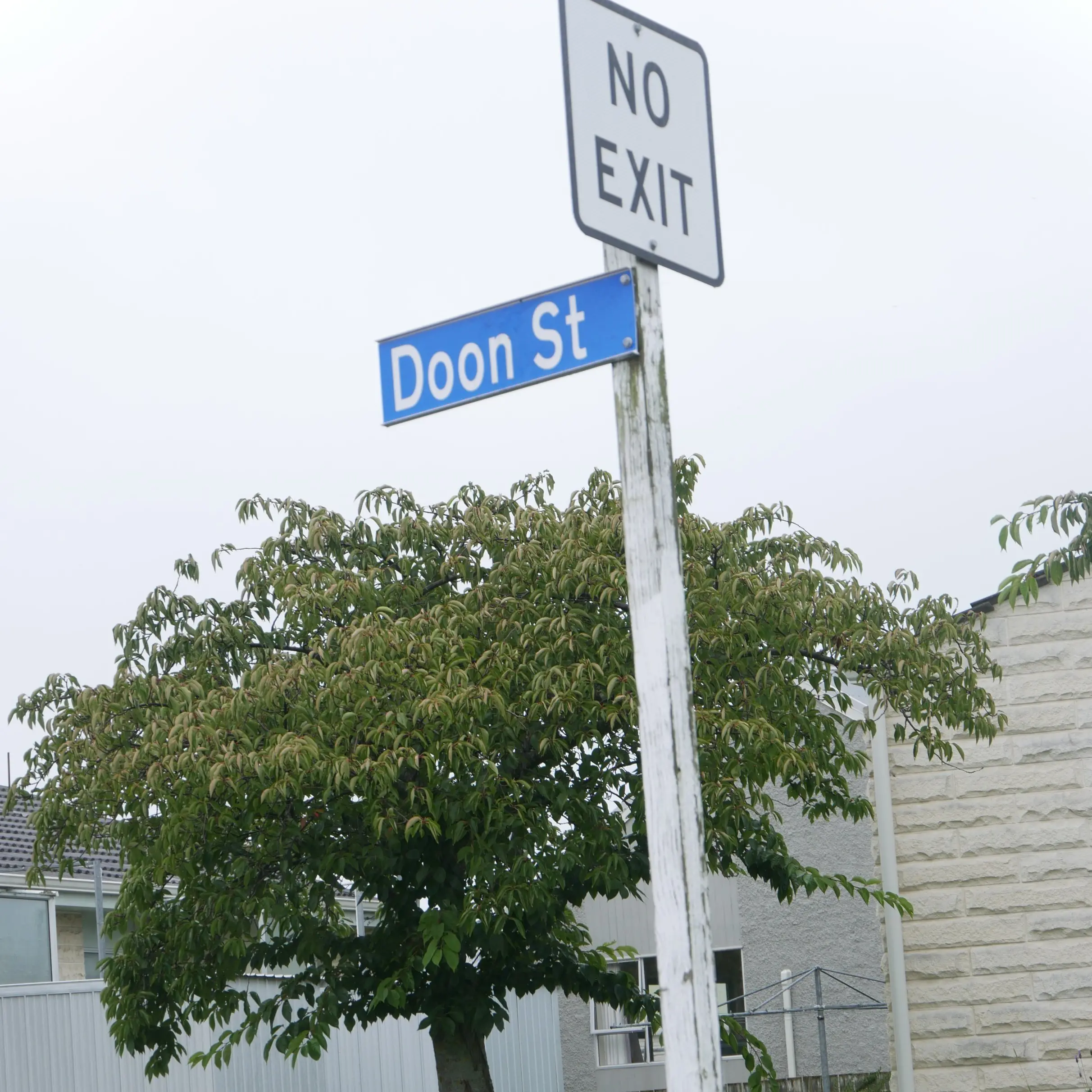 Looking for a sign