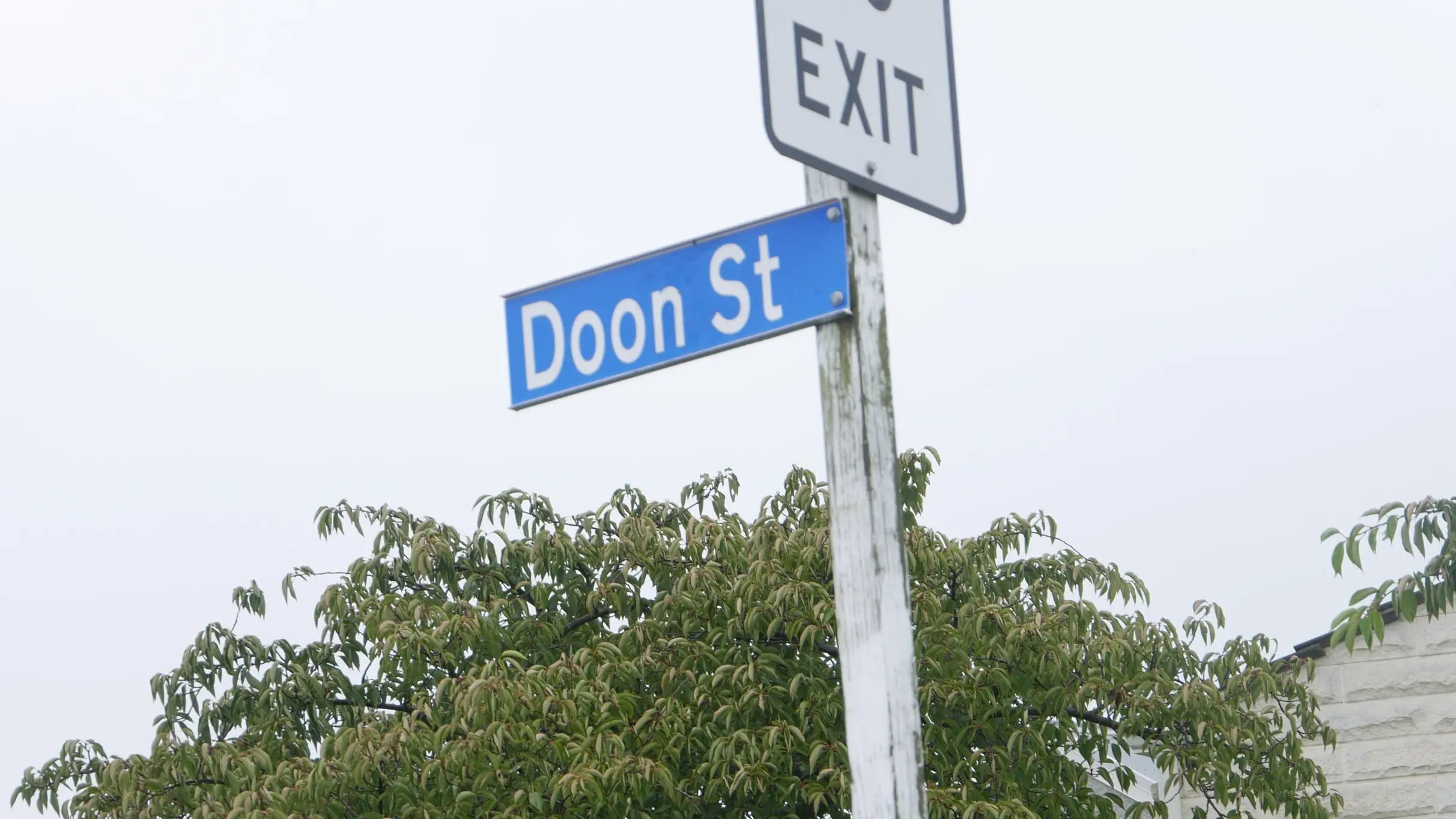Looking for a sign