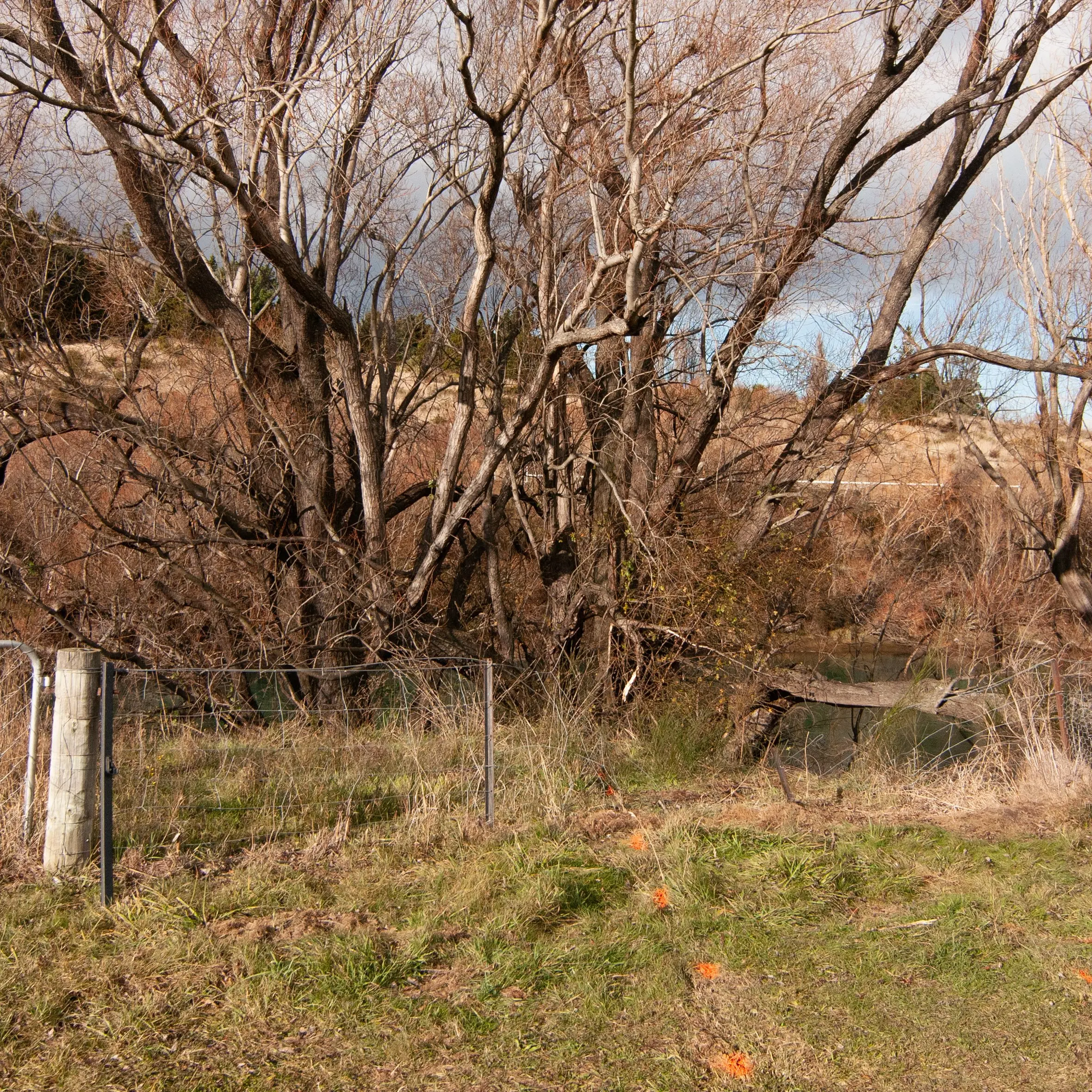 Car that plunged into river lost, but driver fine
