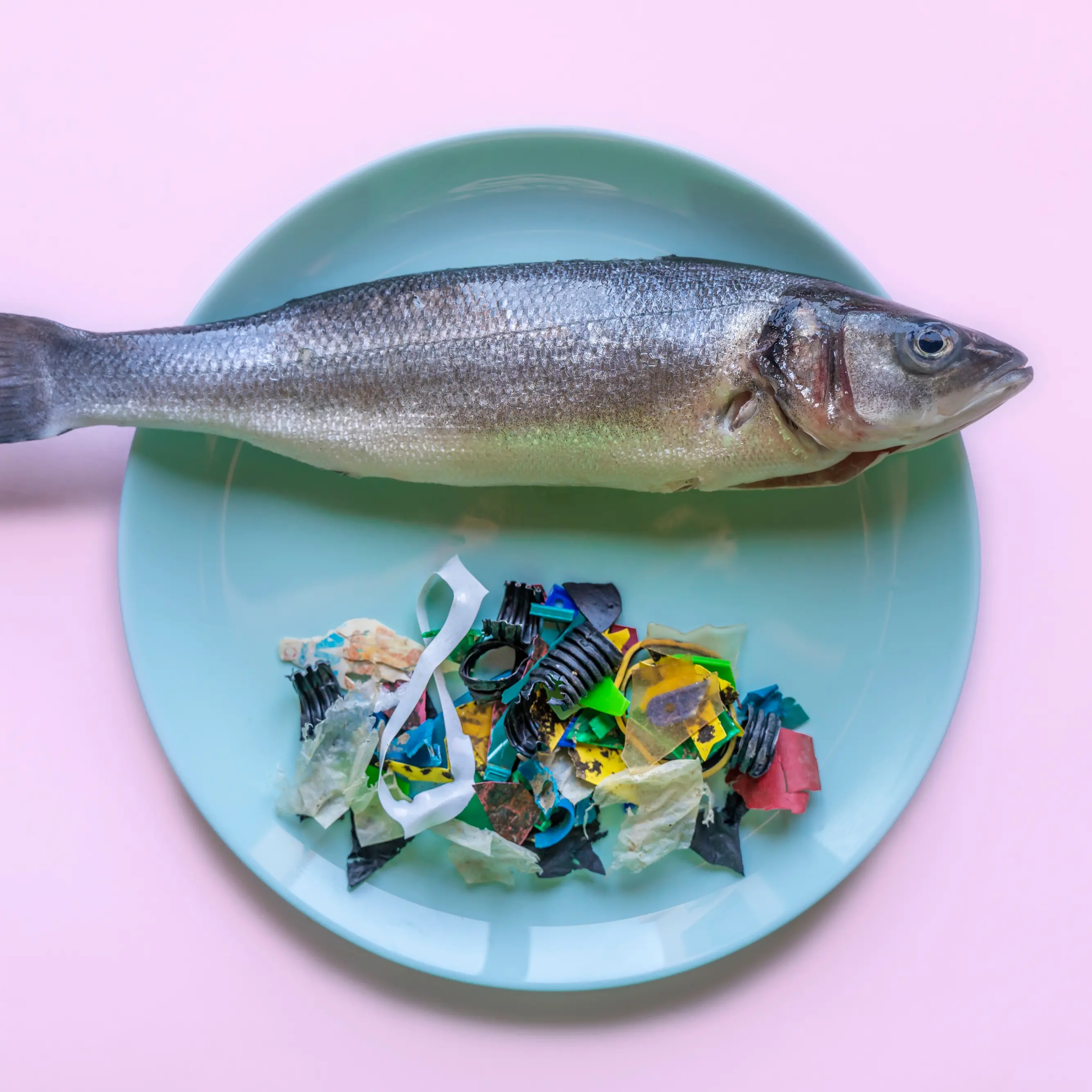 Who thought plastic would be such a problem?