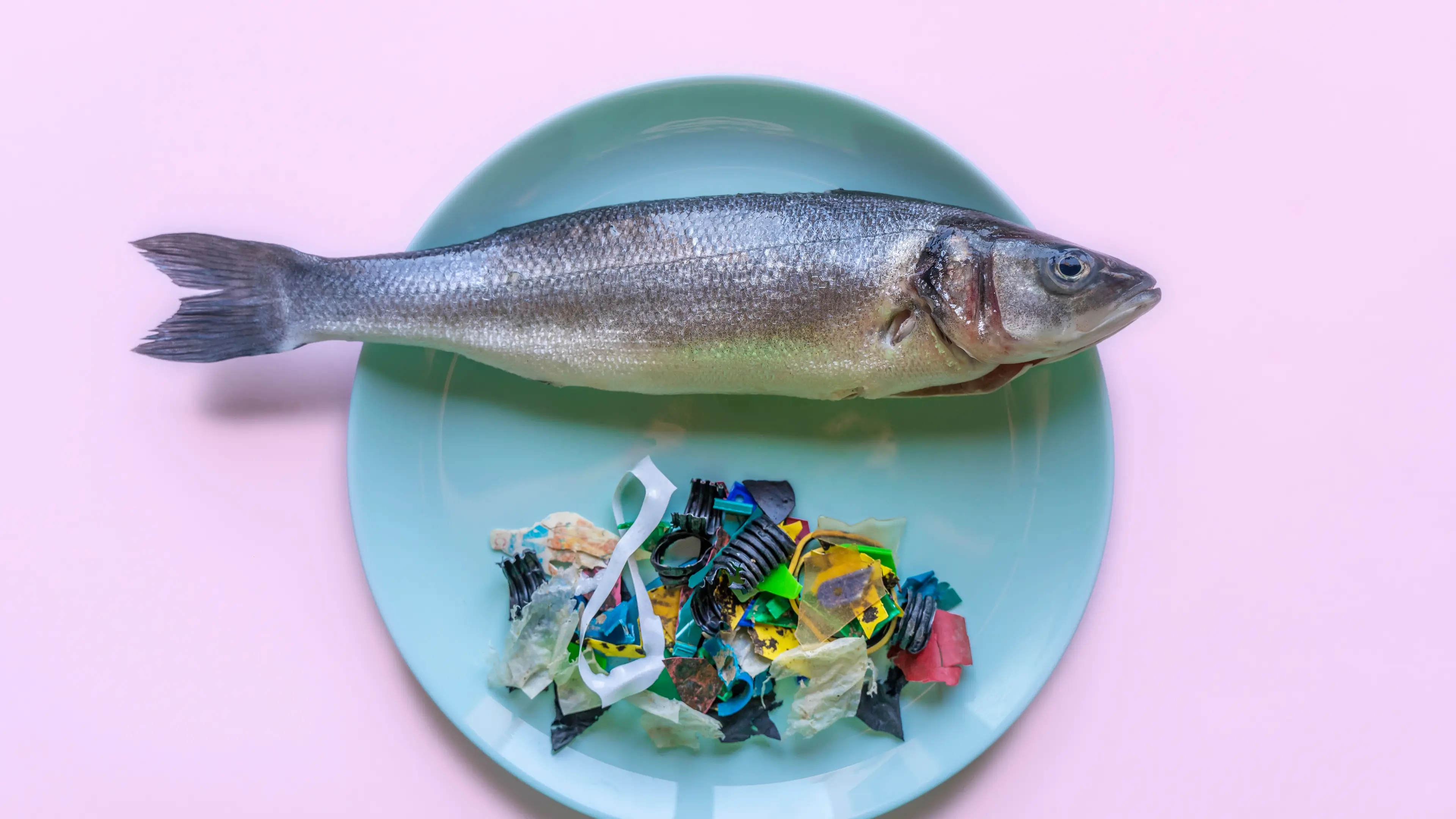 Who thought plastic would be such a problem?