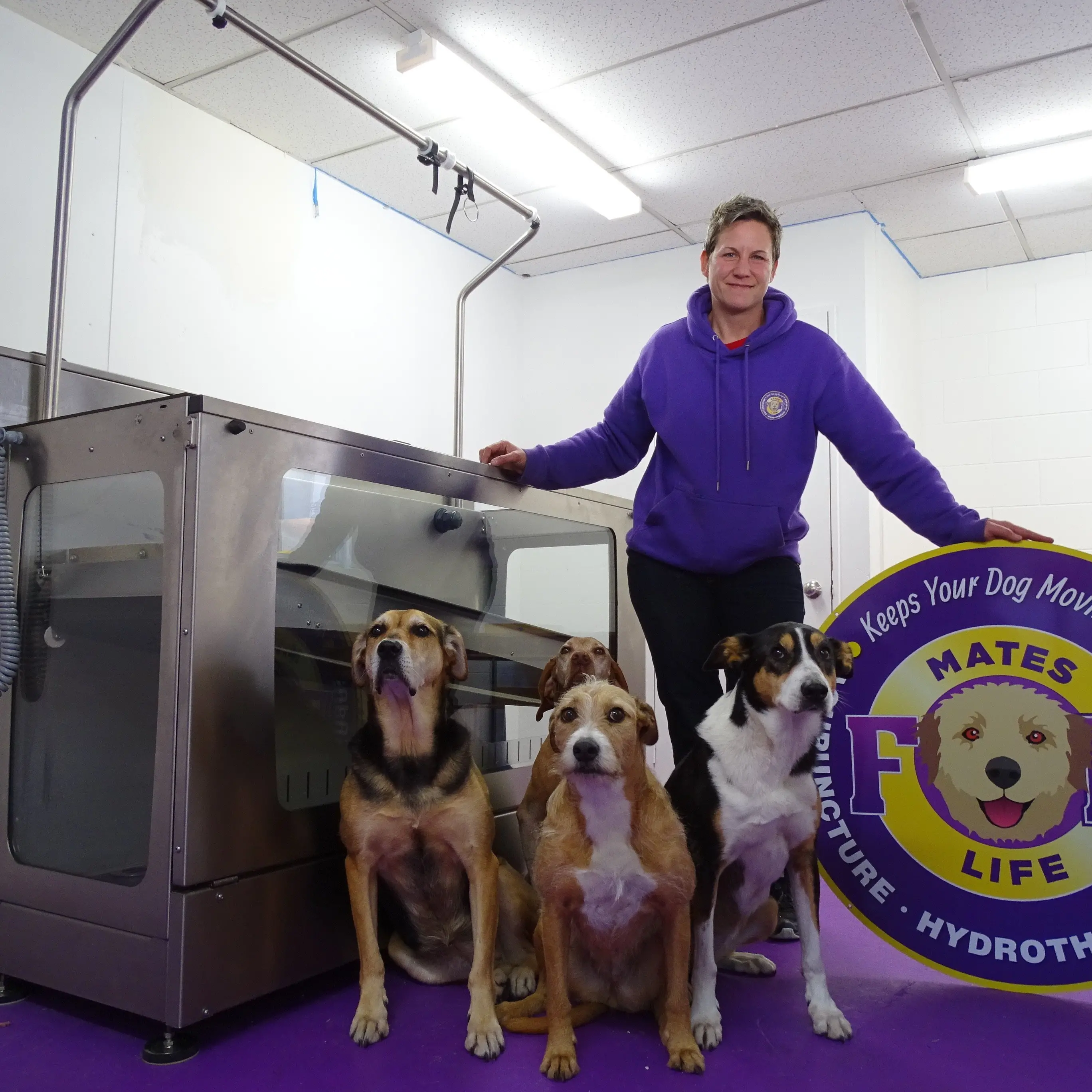 Therapeutic service for dogs moves to resort