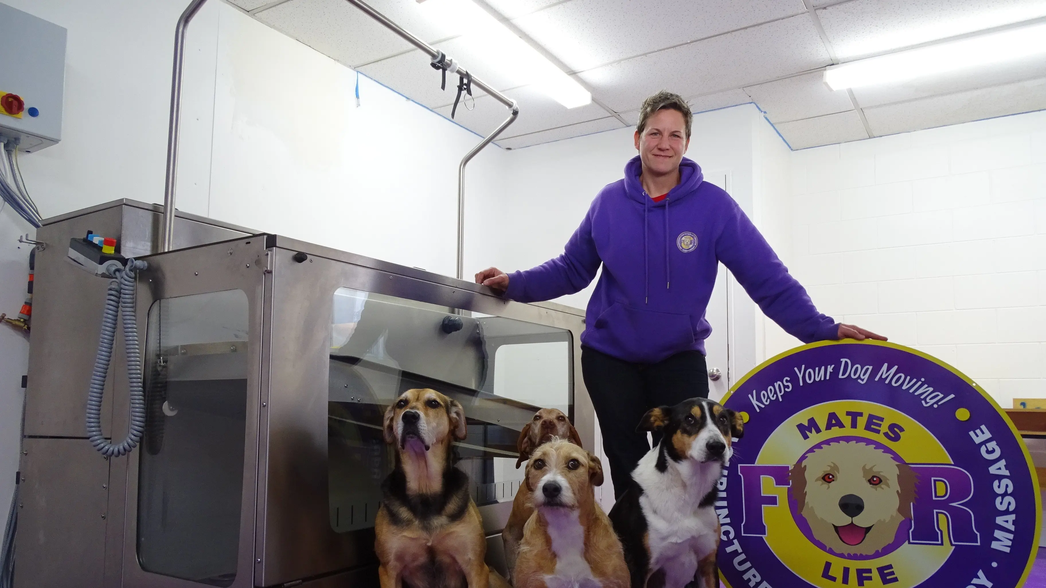 Therapeutic service for dogs moves to resort