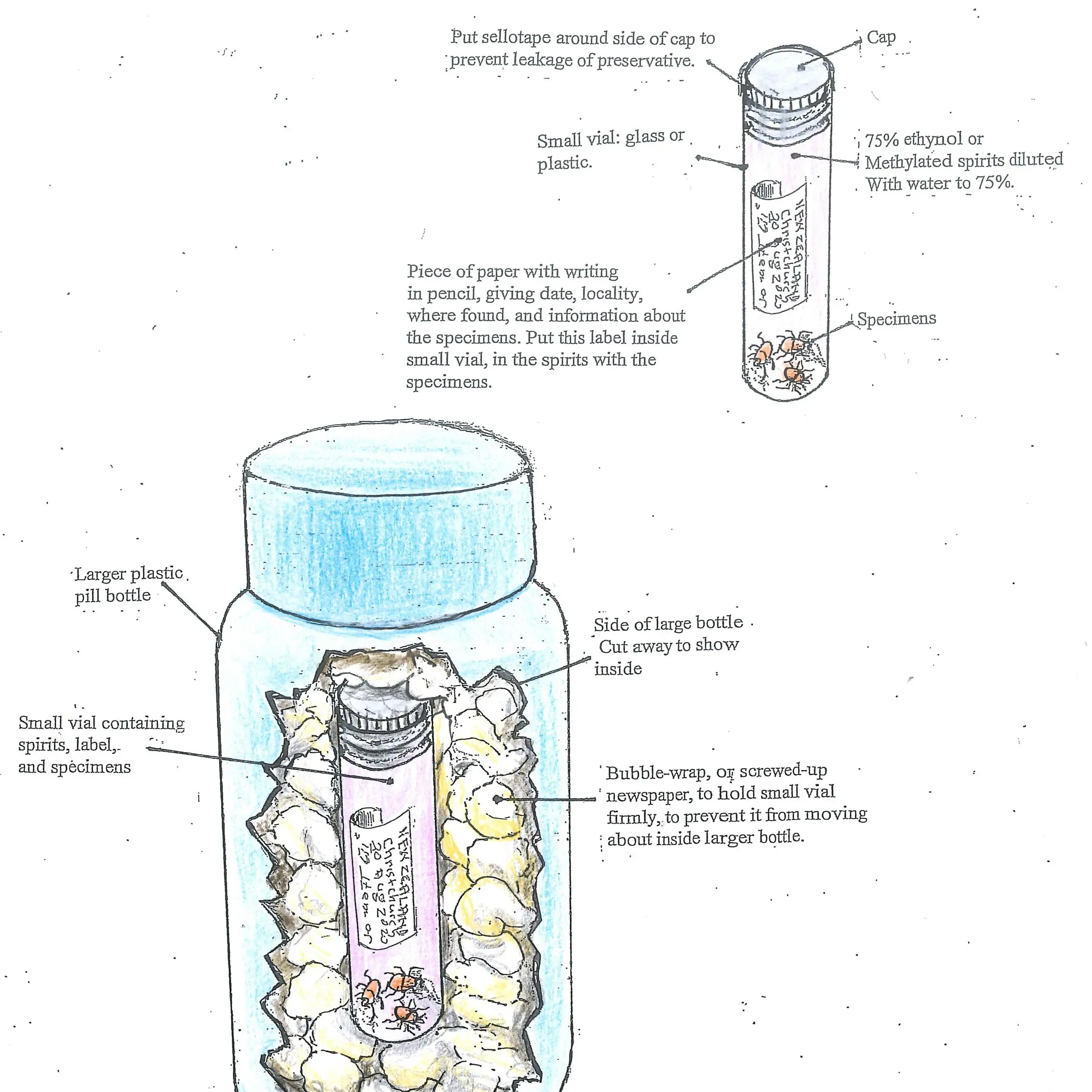 Sending samples that will survive