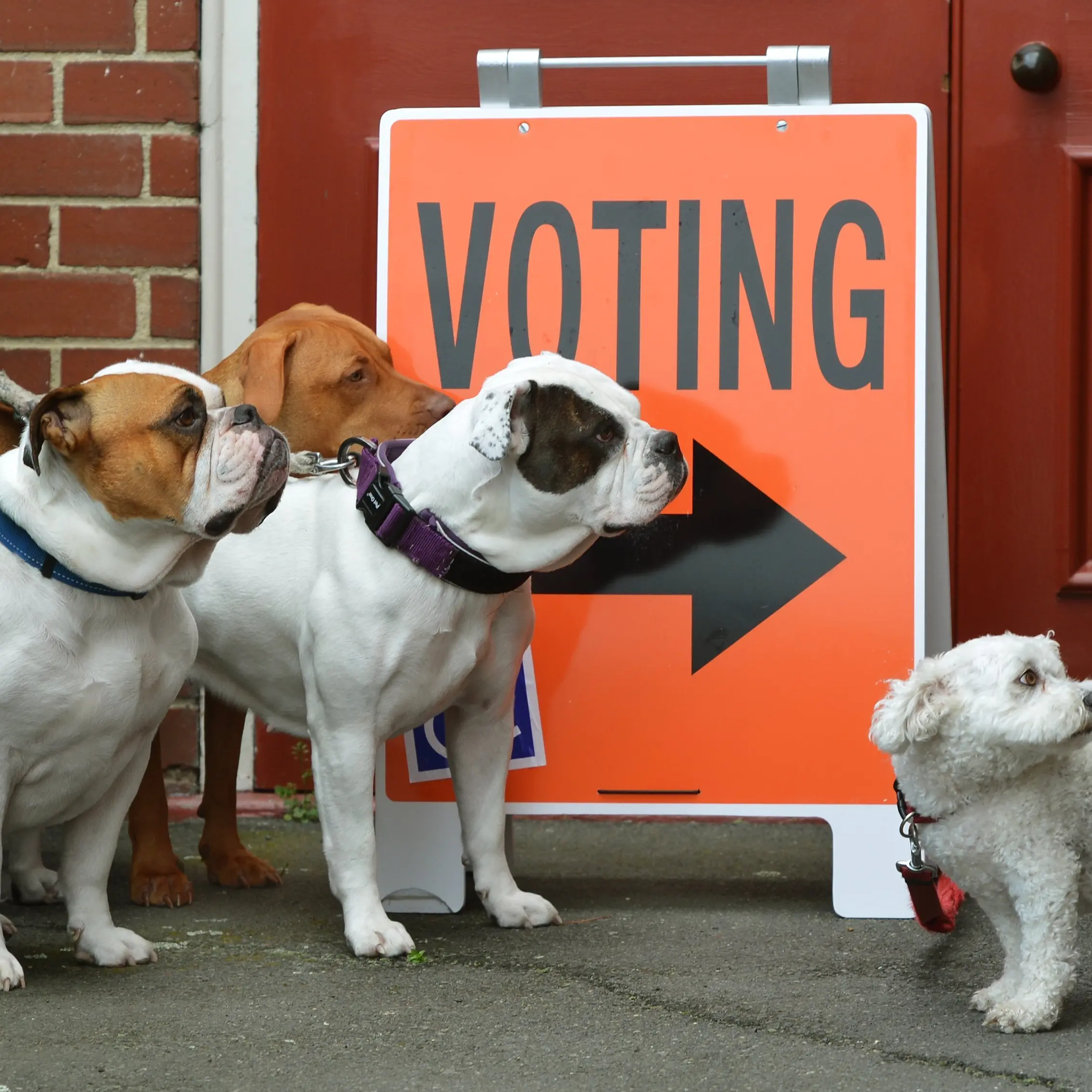 Record low voter turnout could be on horizon