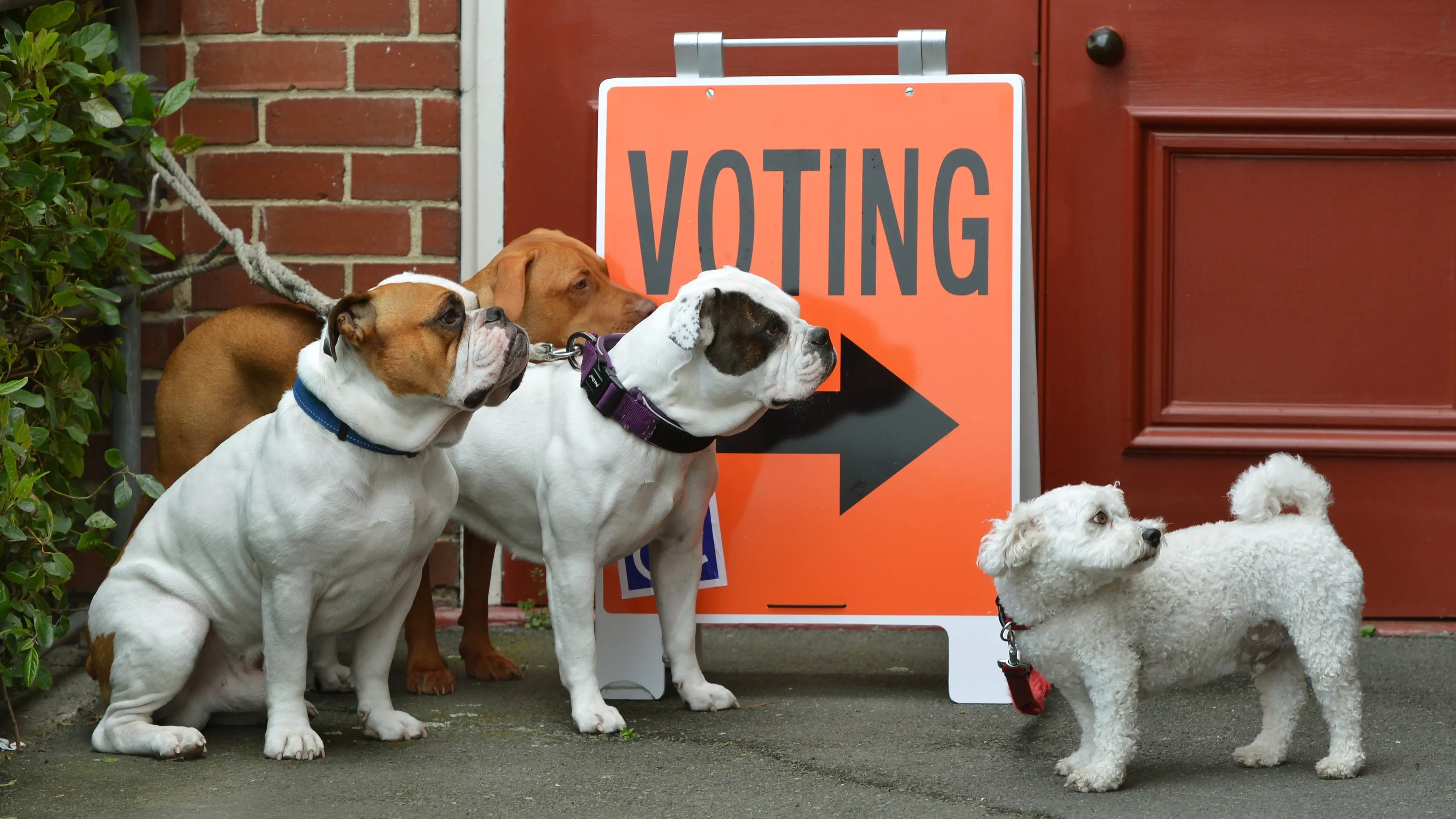 Record low voter turnout could be on horizon