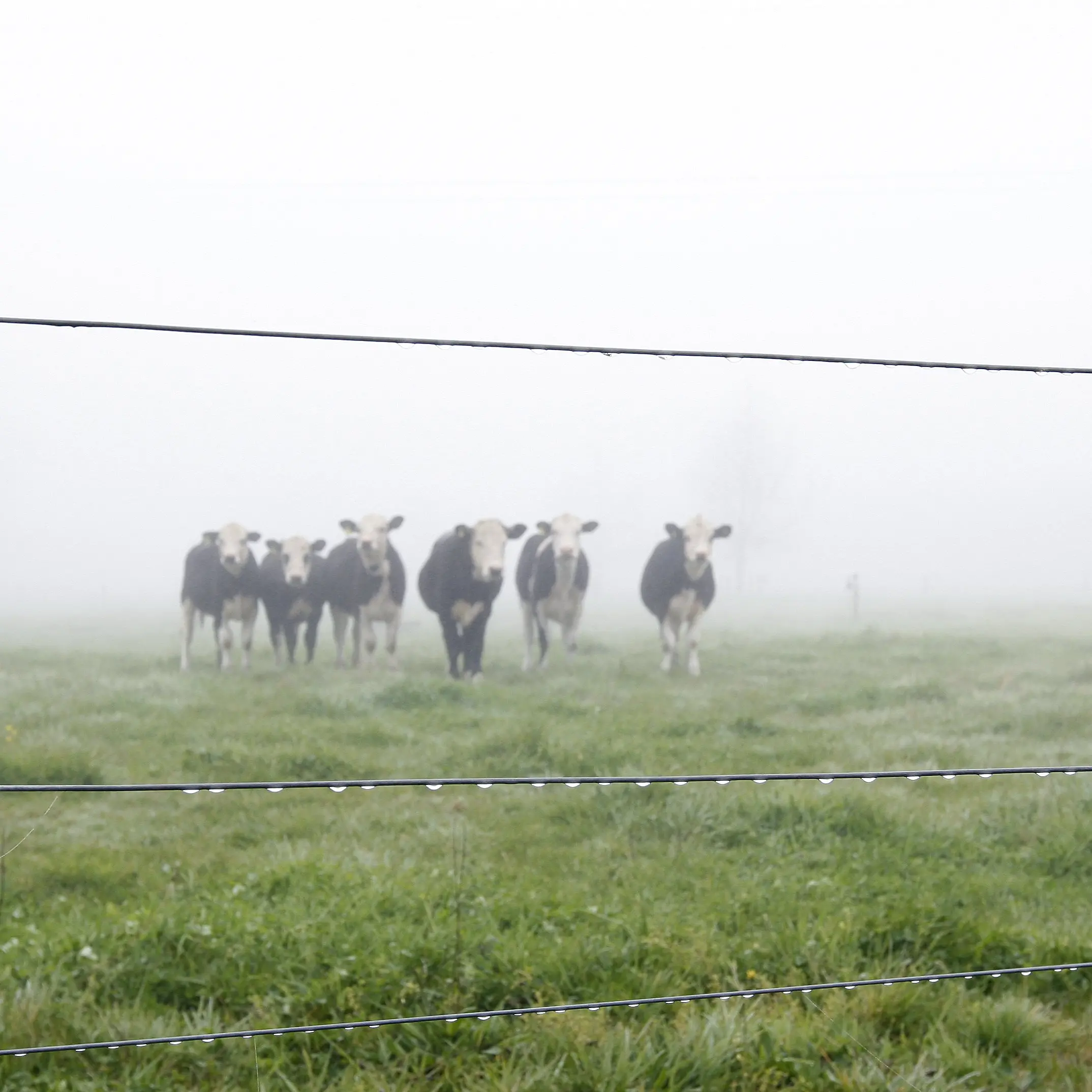 Clearing the air around methane