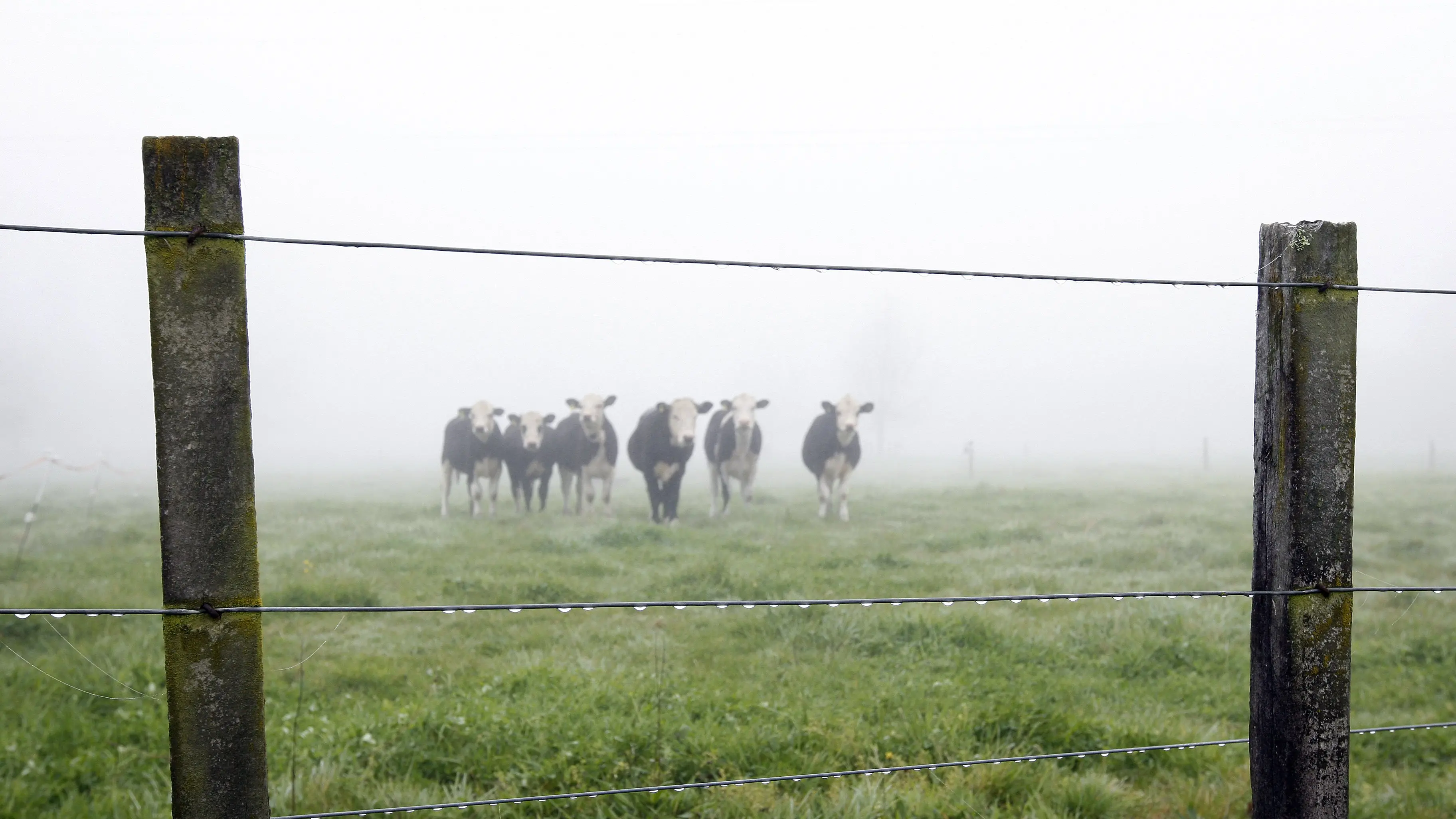 Clearing the air around methane
