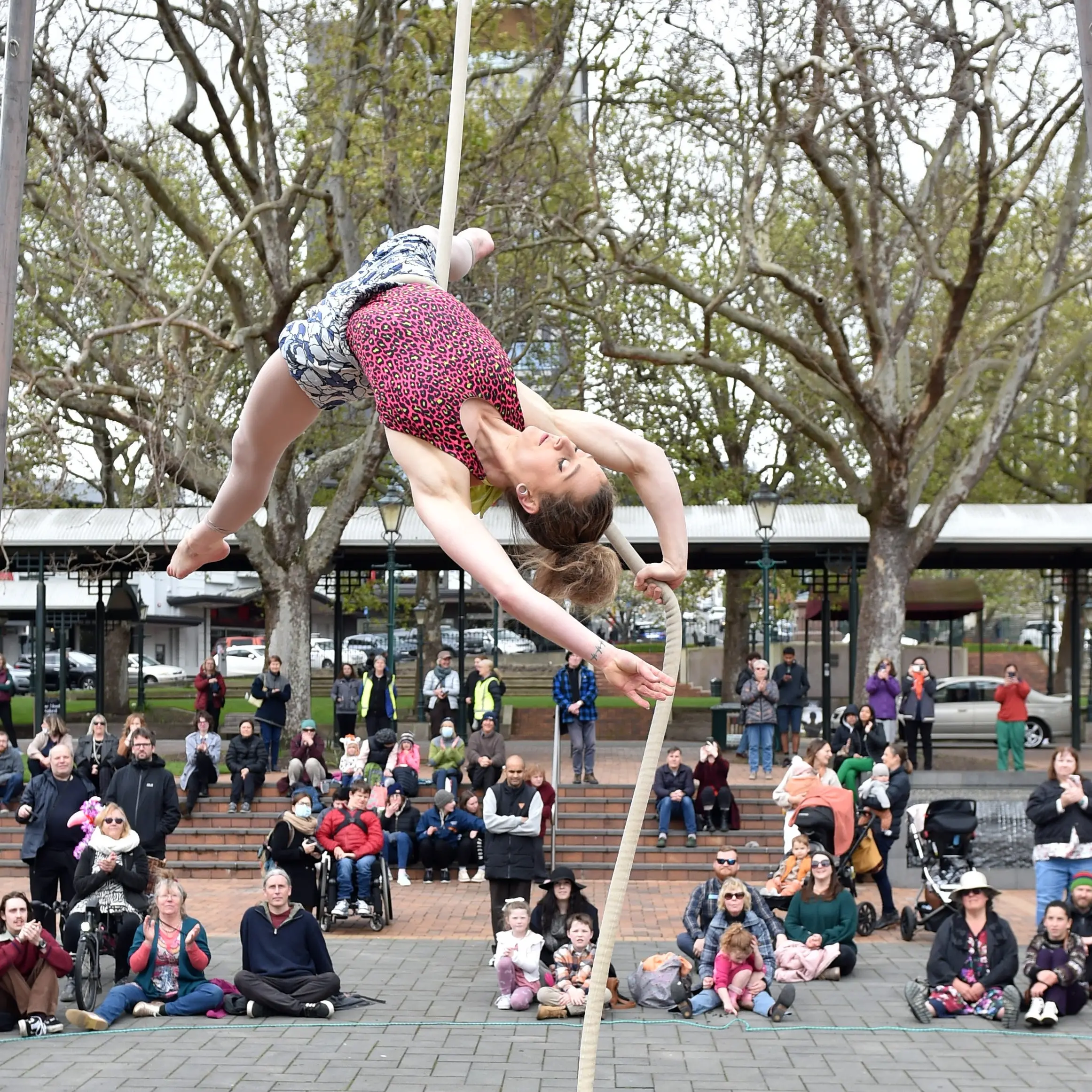 High flyer
