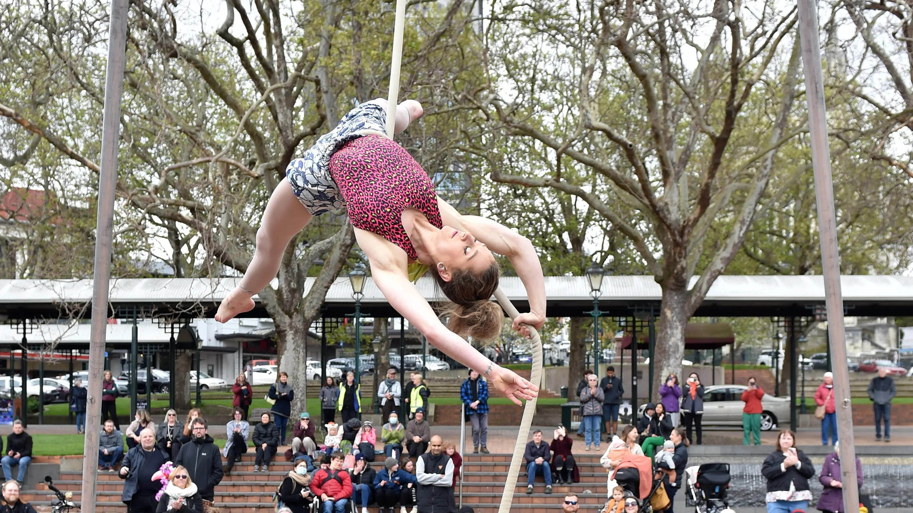 High flyer
