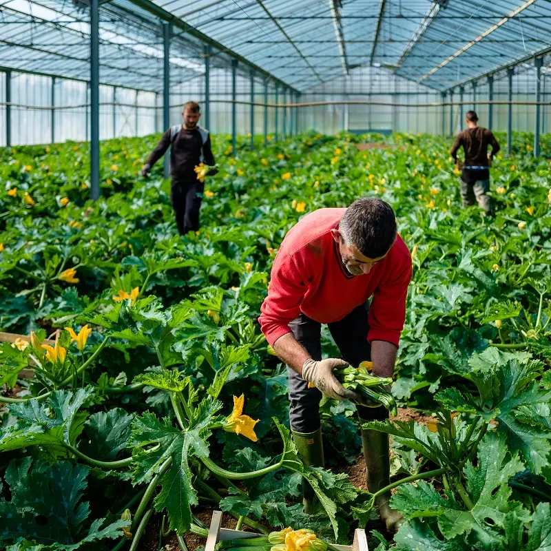 The conversations we need to have about reaching a zero-emissions diet