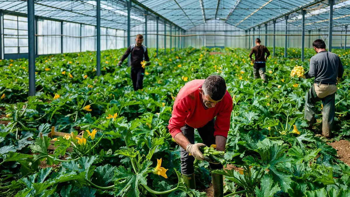 The conversations we need to have about reaching a zero-emissions diet