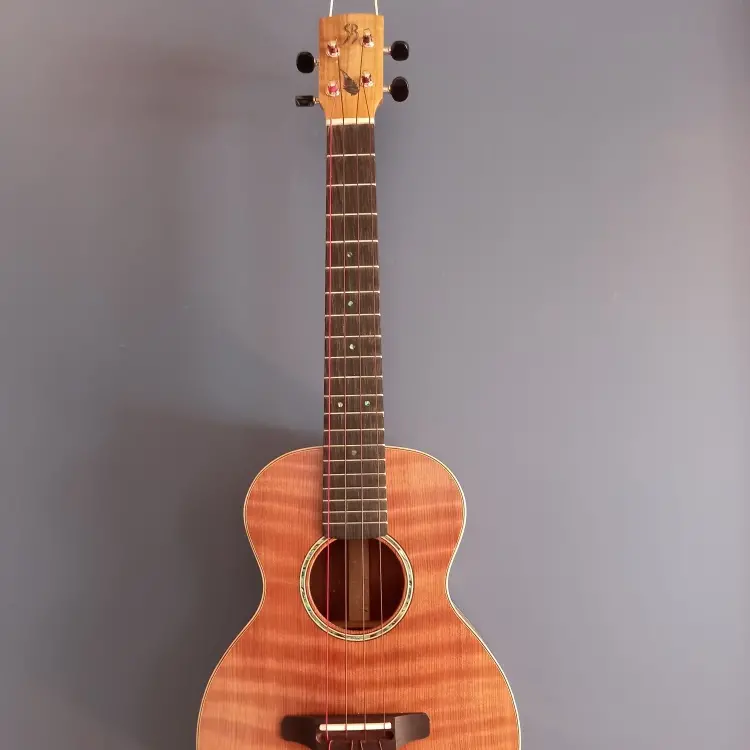 Mr Guitar