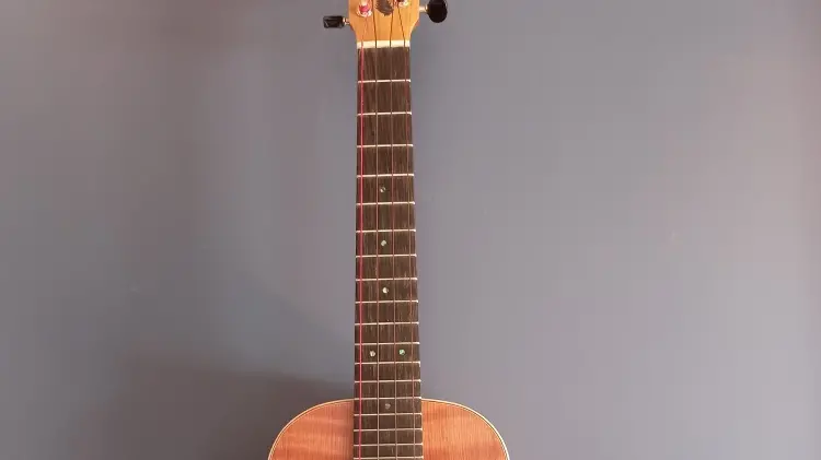 Mr Guitar