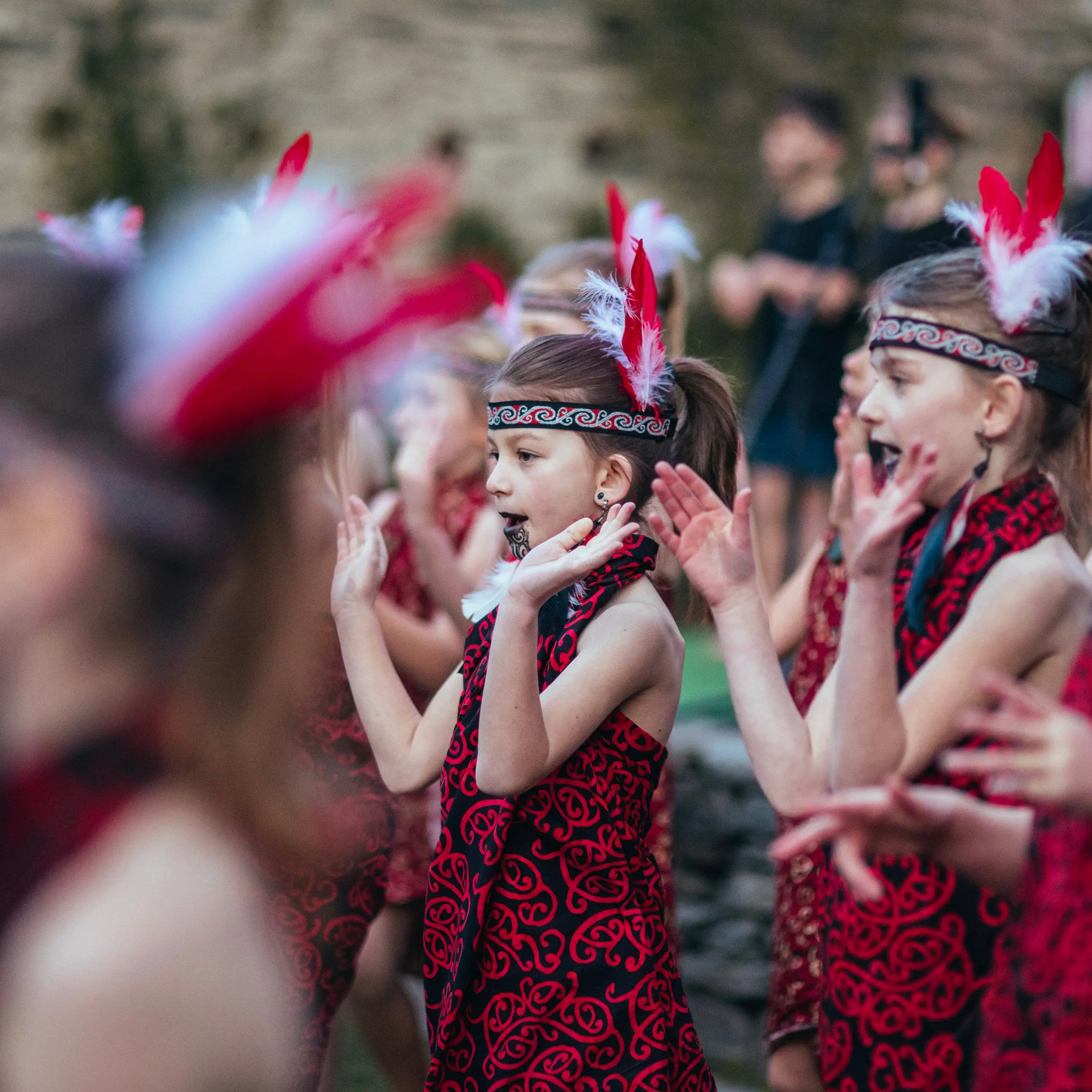 Crowds celebrate Māori New Year