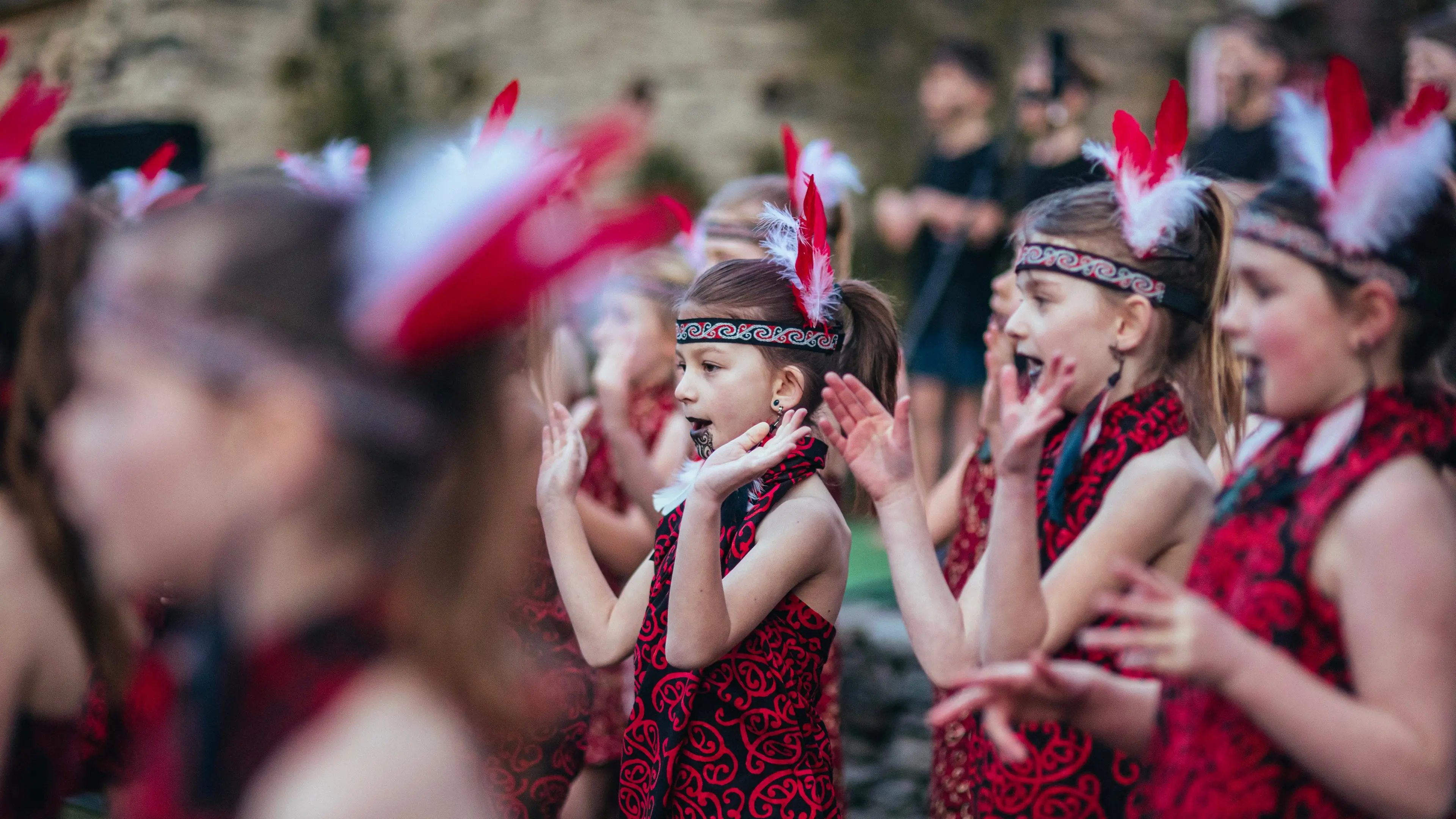 Crowds celebrate Māori New Year