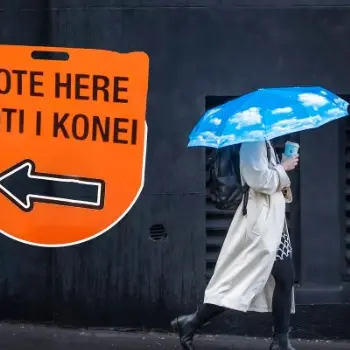 Voters 'turning away in disgust': analyst
