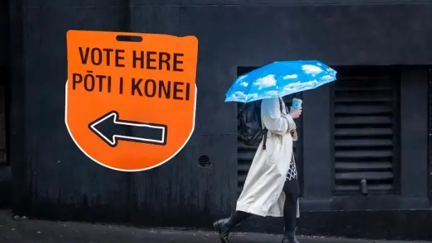Voters 'turning away in disgust': analyst