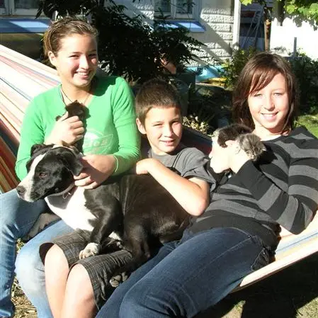 Dog nurses deserted kittens