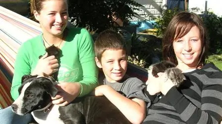 Dog nurses deserted kittens