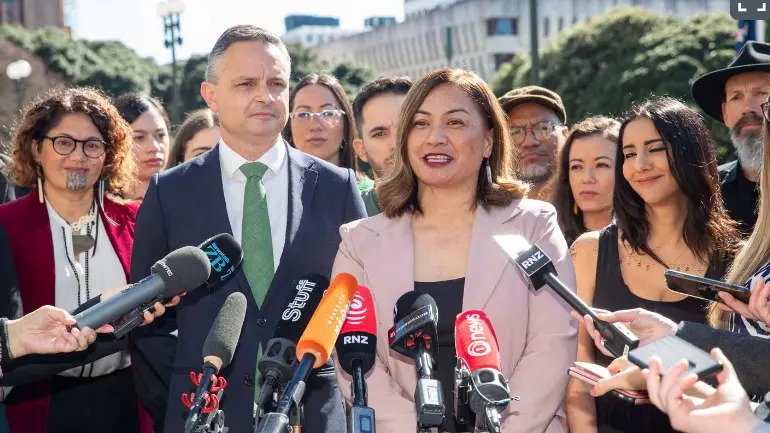 Greens to fight for climate change and Treaty issues