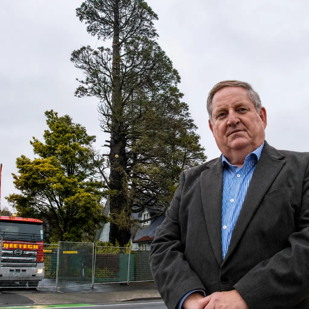 Landmark 120-year-old redwood felled after decade of decline