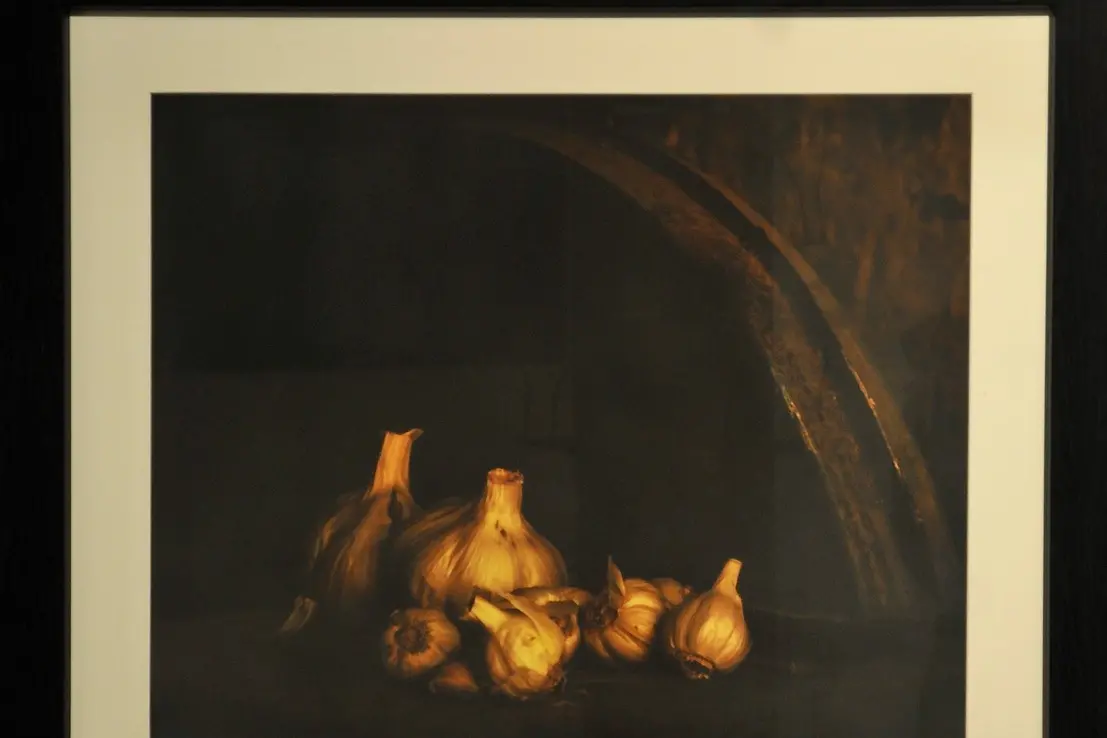Renaissance Garlic\\u2026 work by Kairaki Beach photographer Ann Worthy Stephenson in her new exhibition Painterly, which opened at the Art on the Quay Gallery in the Kaiapoi Library on July 2. PHOTO: SHELLEY TOPP