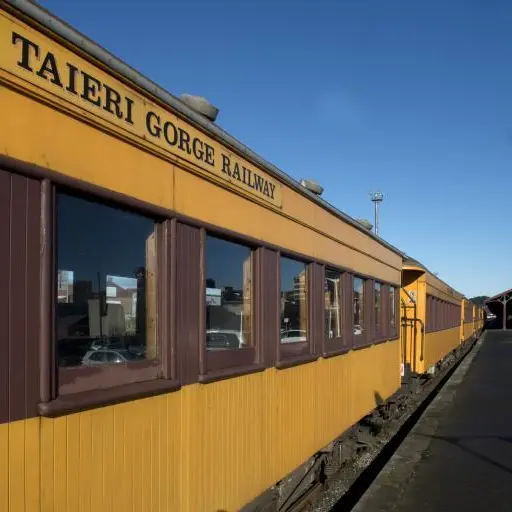 Letters to Editor: Taieri Gorge Railway, councillors sticking to local issues